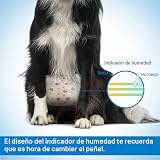 Ver la foto 4