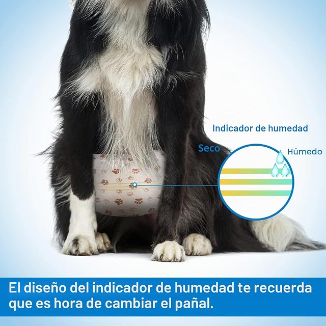 Foto 4 de 7 de Pet Soft Pañales Desechables para Perros machos, 20 Unidades, pañales súper absorbentes para Cachorros