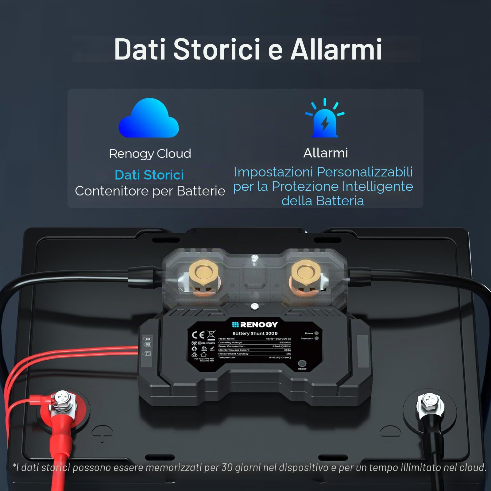 Renogy Battery Shunt 300 con Bluetooth integrato, misura tensione e corrente della batteria, compatibile con piombo acido, LFP, Li-ion e Ni-MH