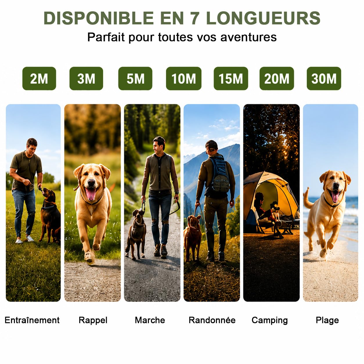 Longe pour Chien, 2M/ 3M/ 5M/ 10M/ 15M/ 20M/ 30M Laisse de Dressage, Long Laisse Réfléchissante pour Petits, Moyens et Grands Chiens