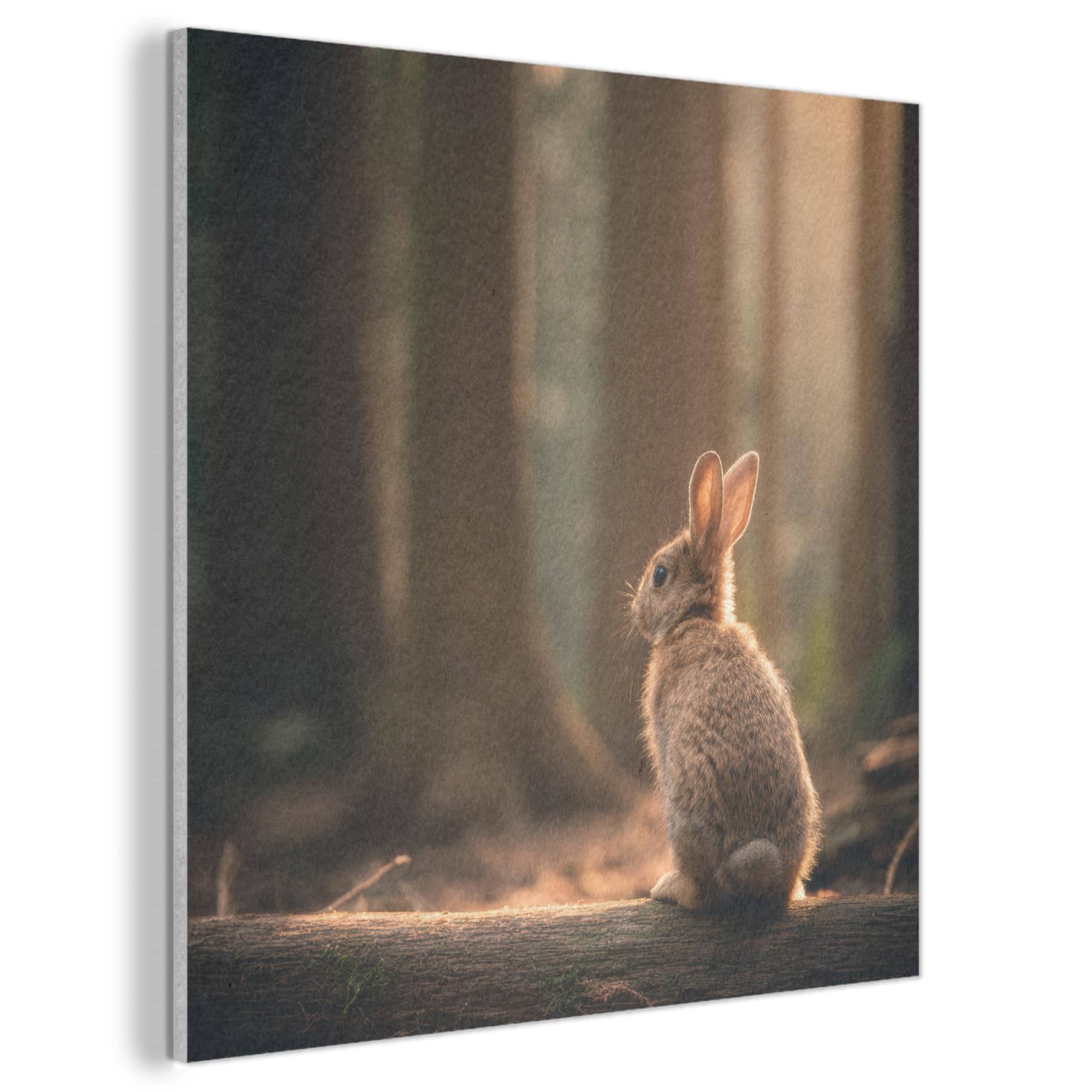 MuchoWow© Felt Panel 60x60 cm House Touch for Living Space Modern Visuals Decoration Wall Art Rabbit - Forest - Sunbeams