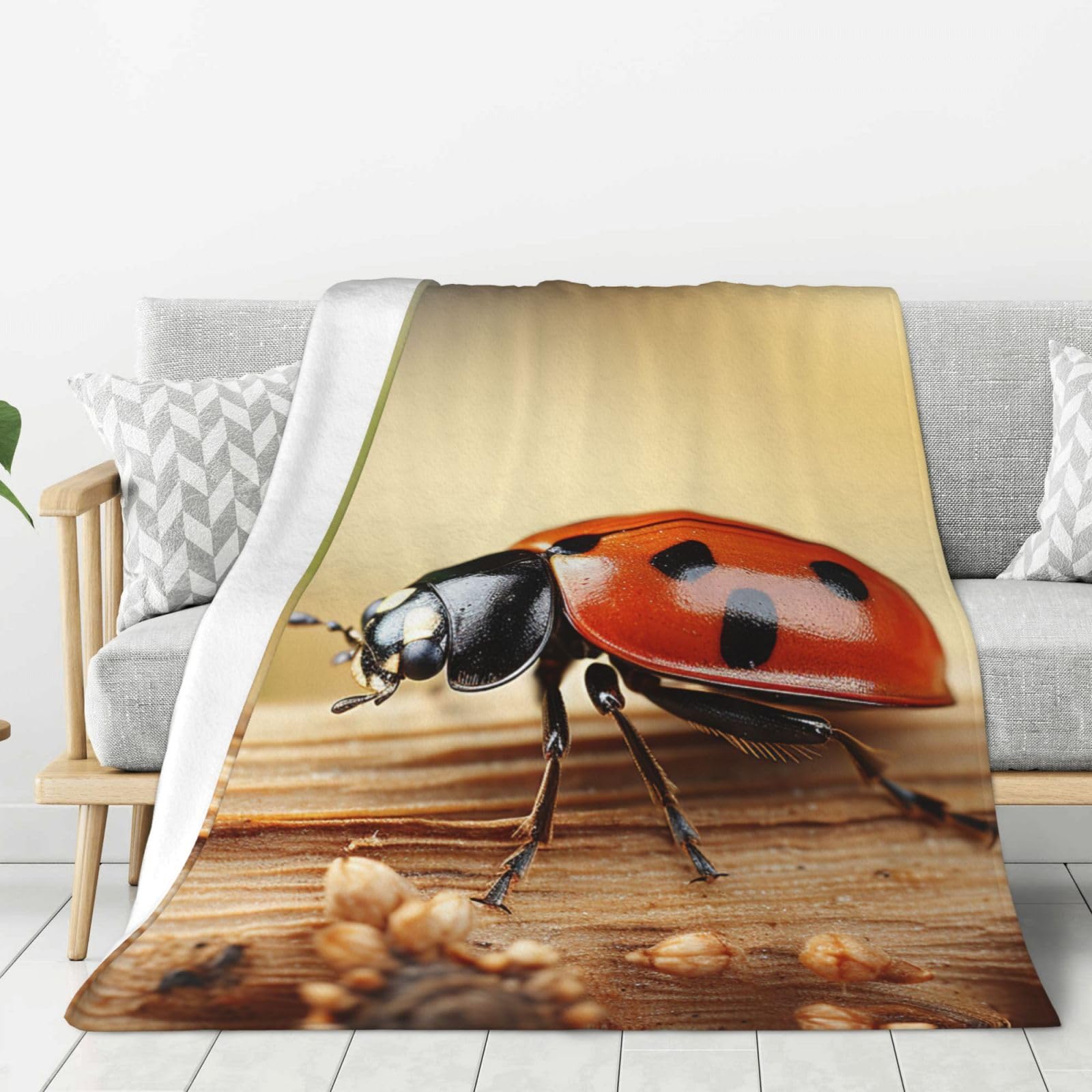 Couverture flanelle douillette pour soirées canapé et nuits cocooning