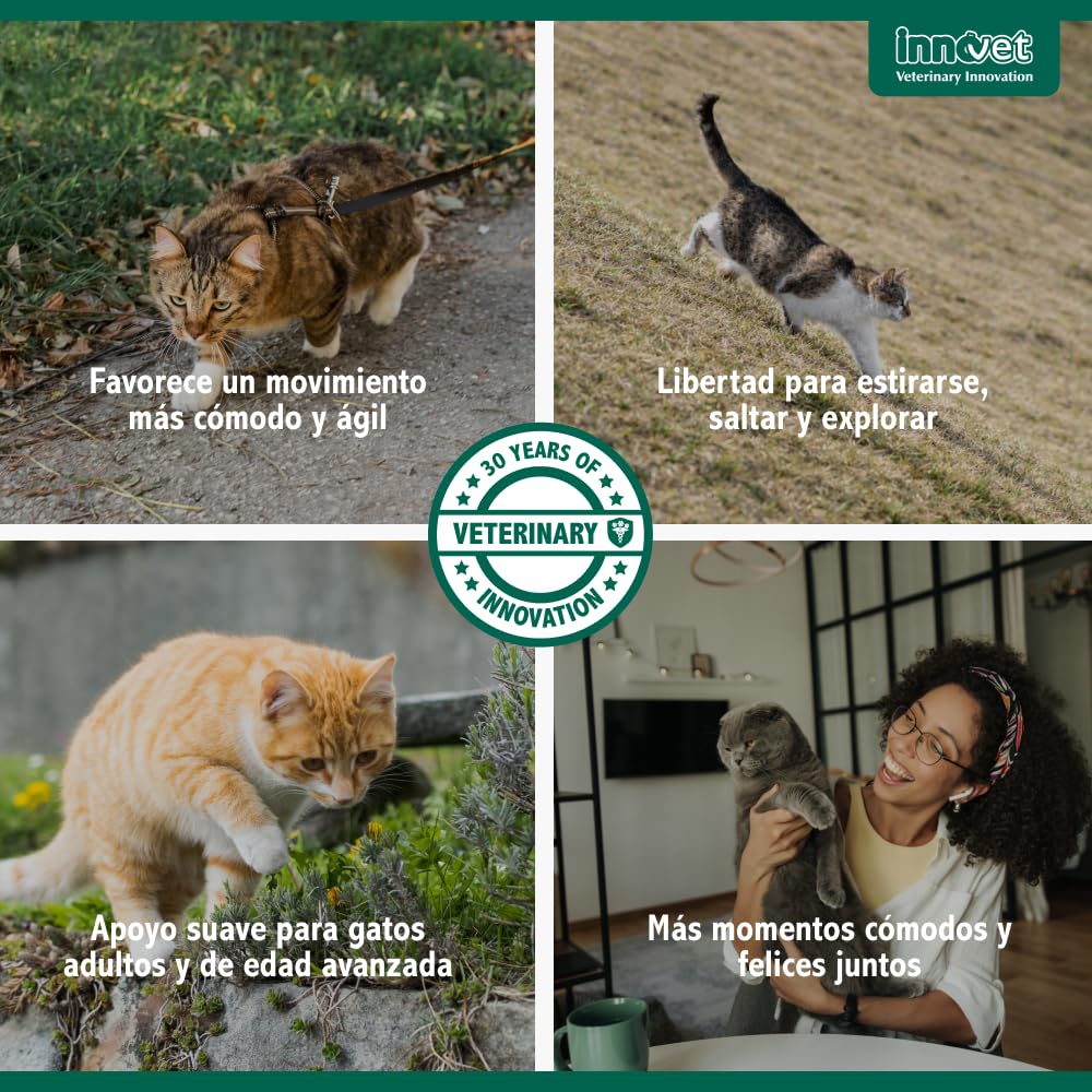 Innovet Condrostress (+) Cat, para gatos adultos y ancianos con rigidez articular, contra la osteoartritis, preserva la capacidad de movimiento, neutraliza los radicales libres, paquete de 30 cápsulas