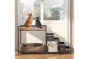 Elevated Dog Perch with Storage and Stairs for High Window