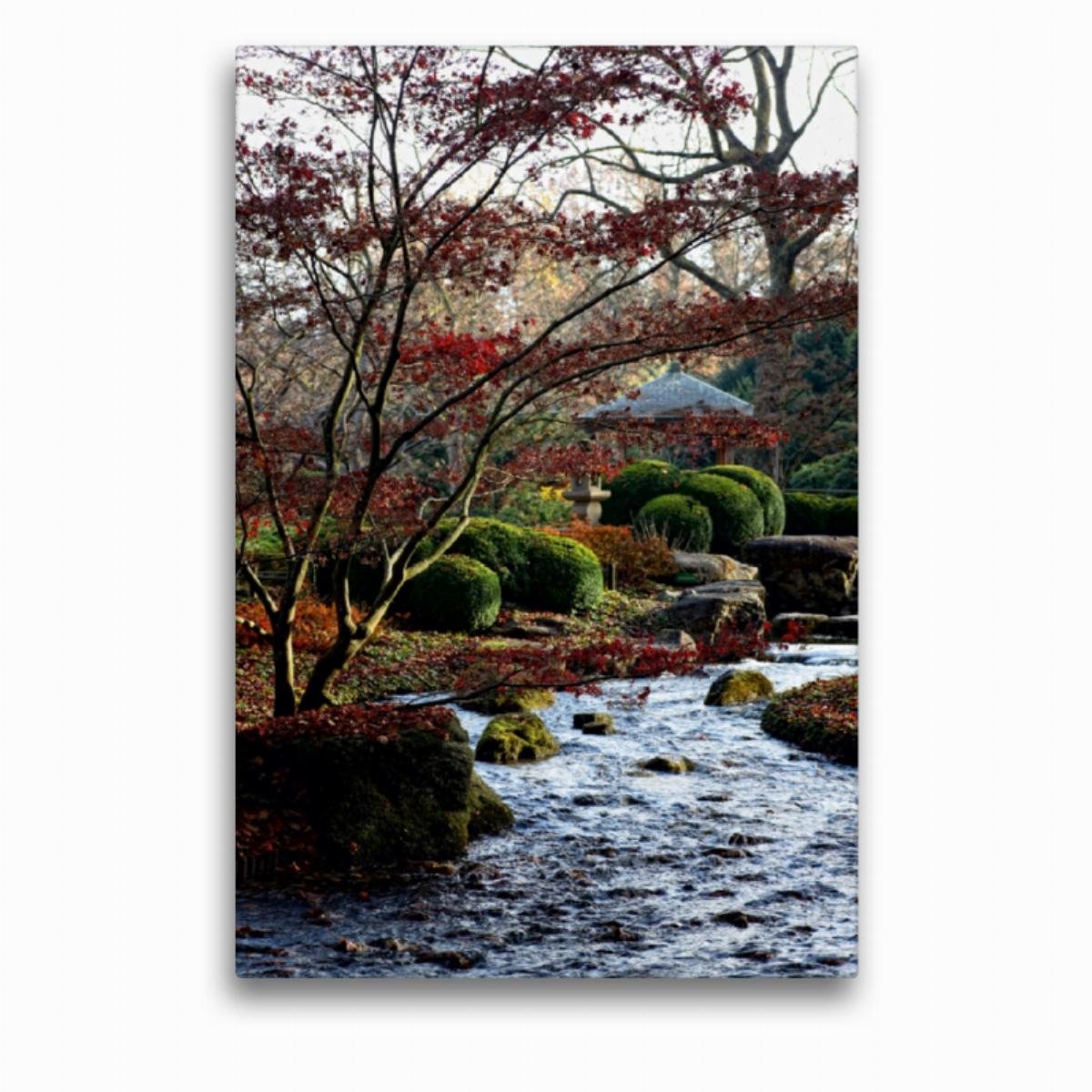 CALVENDO Japanischer Garten, Botanischer Garten Augsburg, Deutschland