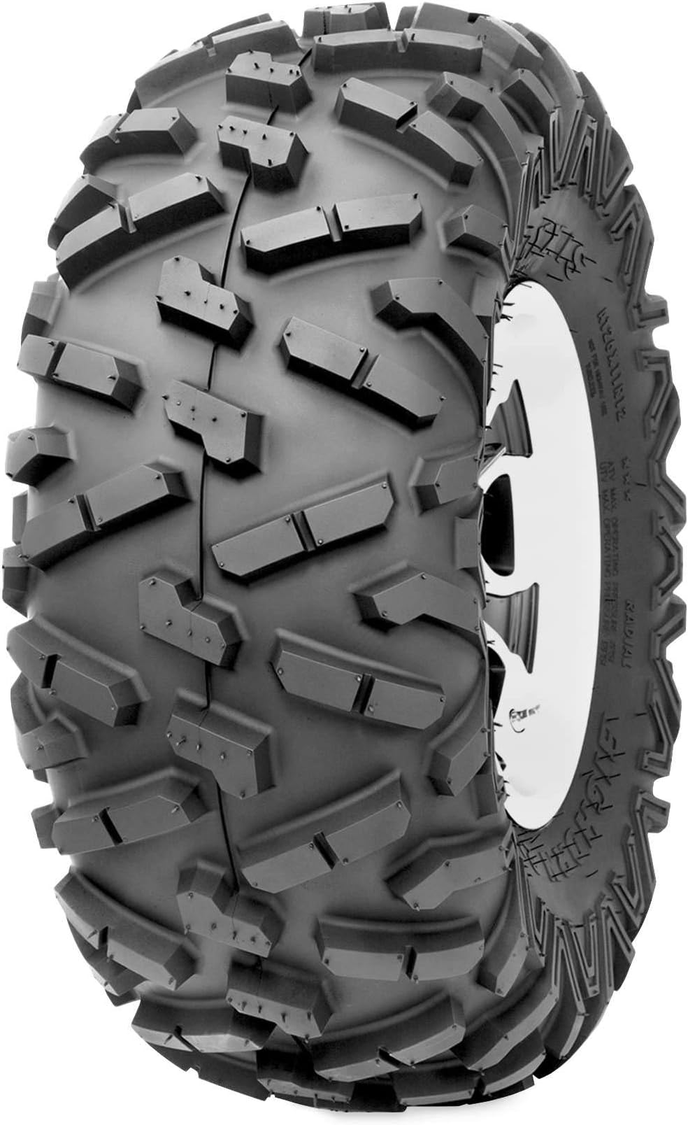 Pair of Maxxis BigHorn 2.0 Radial 24x10-11 ATV Tires (2)