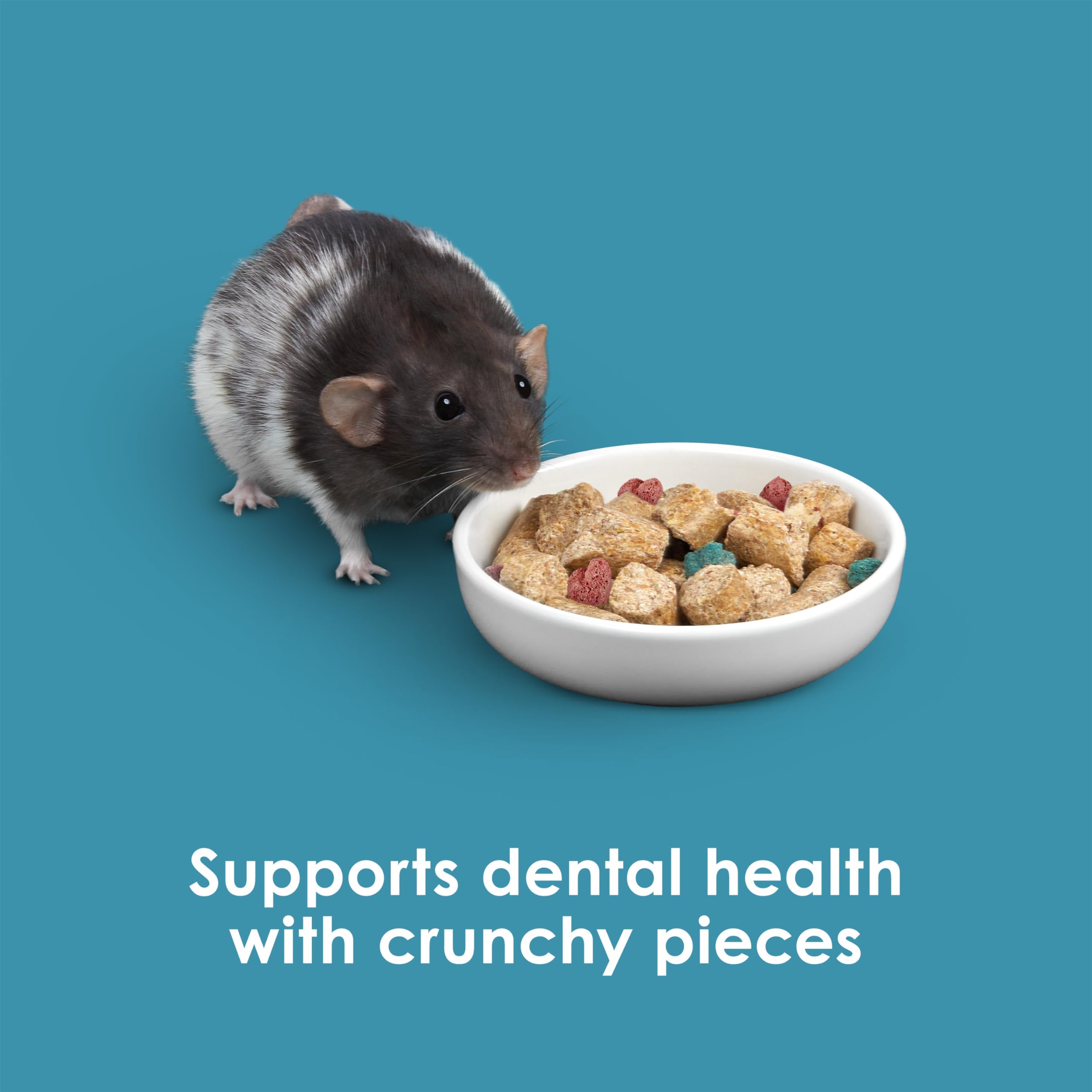 Kaytee Forti Diet Pro Health Small Animal Food For Mouse And Pet Rats, 3-Pound