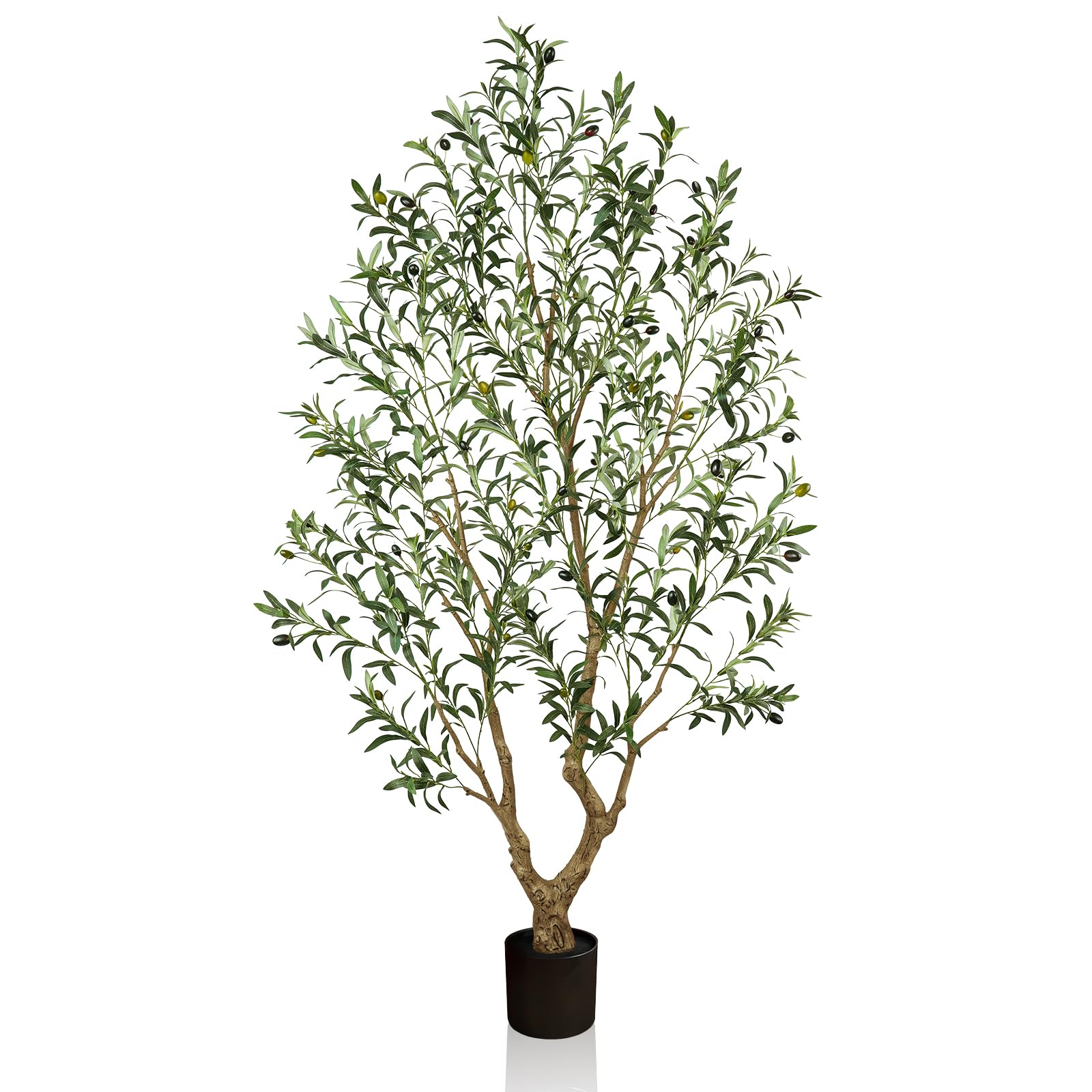 Vitalismo Artificial Olive Tree