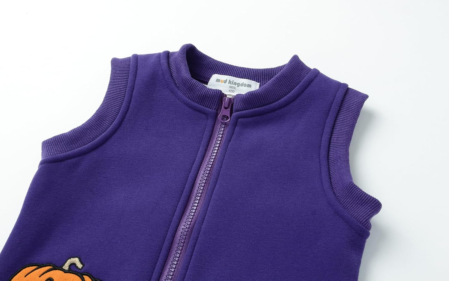 Mud Kingdom Little Boys Fleece Lined Vest Cute Cartoon Patterns Zipper Closure Sleeveless Jacket Thick Warm Outerwear - Image 3