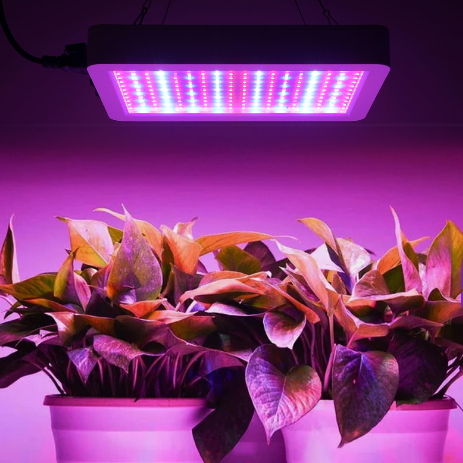 banapoy Luz LED Crecimiento, 6000 LM 30W 5 Luz Plantas Colgantes Espectro Completo Regulable para Plantas Interior Plántulas Inicio Suculentas Invernadero Hidropónico, Ventiladores (Enchufe europeo