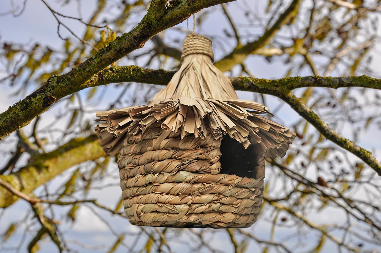 Gran nido para pájaros D. 43 cm en hojas de Pandan, fabricación artesanal – Estilo natural y exótico – Zazu