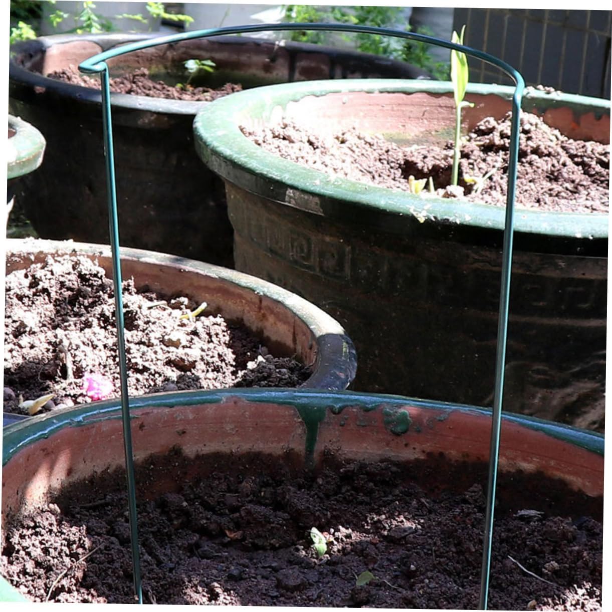 BESPORTBLE Tall Plant Support Stakes Set 8pcs Garden Plant Stakes for Climbing Potted Plant Ring Flower Support Frame Plant Support Stakes for Healthy Growth