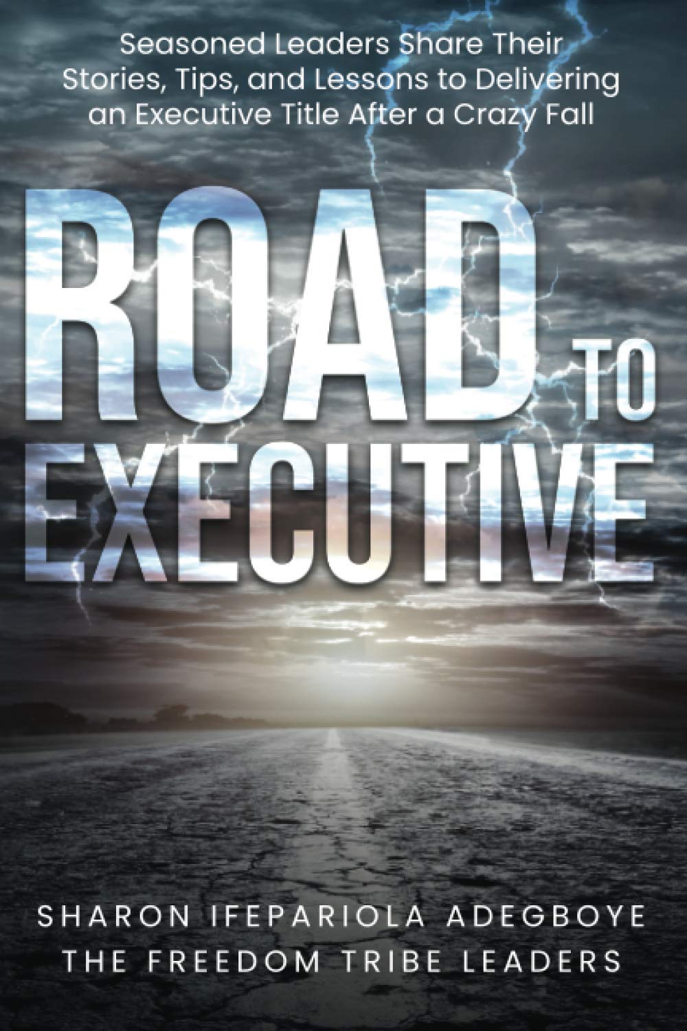 Road To Executive: Seasoned Leaders Share Their Stories, Tips and Lessons To Delivering An Executive Title After A Crazy Fall