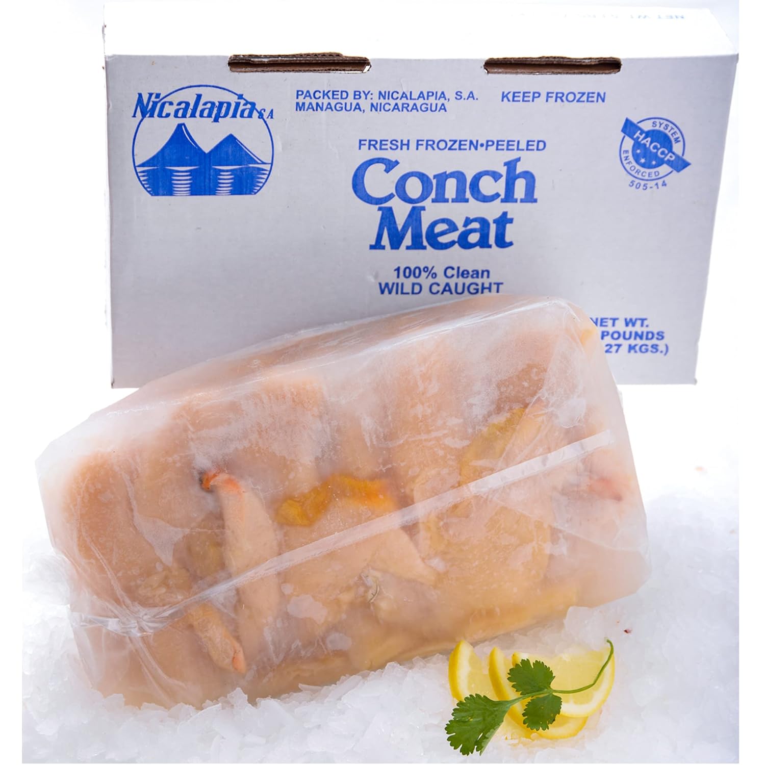 Conch Meat (5 LB.)