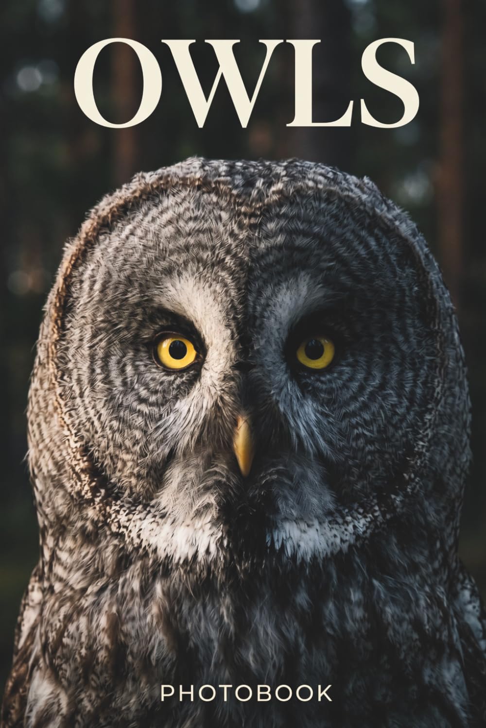 A Premium Owl Photobook: A Stunning Visual Collection of the World's Most Captivating