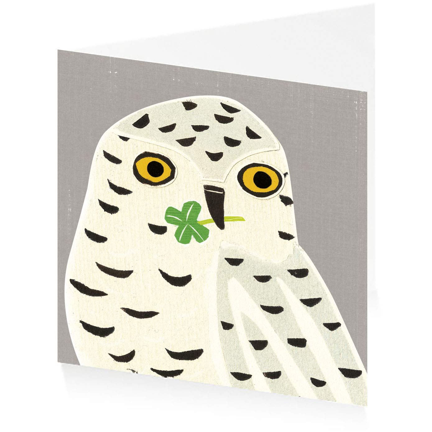 ArtPress Sarah Battle Rupert The Luckiest Owl Good Luck Greeting Card (15 x 15 cm)
