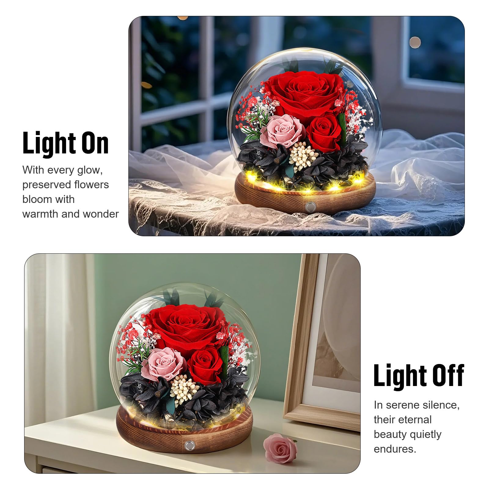 Rosa Stabilizzata Vera con Luci LED, Rosa Eterna La Bella e la Bestia, Regalo per Lei, Donna, Fidanzata, Mamma, Idee Regalo per San Valentino, Compleanno, Anniversario, Festa della Mamma (Rossa)