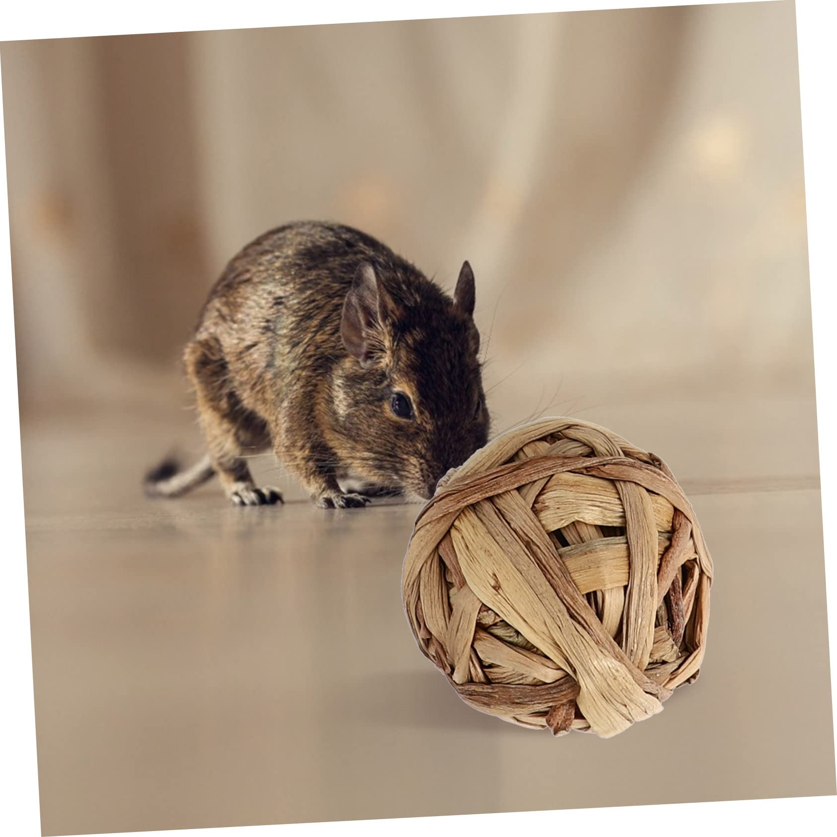 2 Sets Gewebte Rundspielzeuge Zum Kauen Von Molaren für Hamster Emotional Beruhigende Spielzeuge 7 Stück