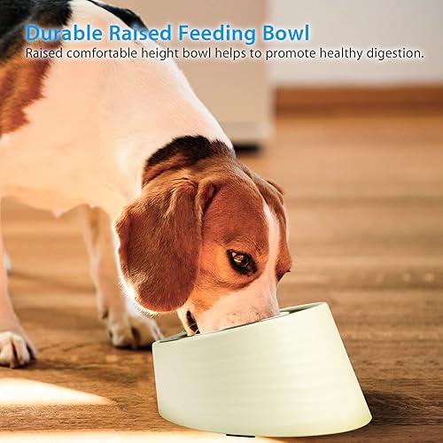 Miniatura 6 de UPPETLY 15Slanted Stainless Steel Dog Bowl Tilted Angle No Spill Non-Skid Cat Food Bowl Stress Free Food Grade Material Feeder for Pets Puppy Small