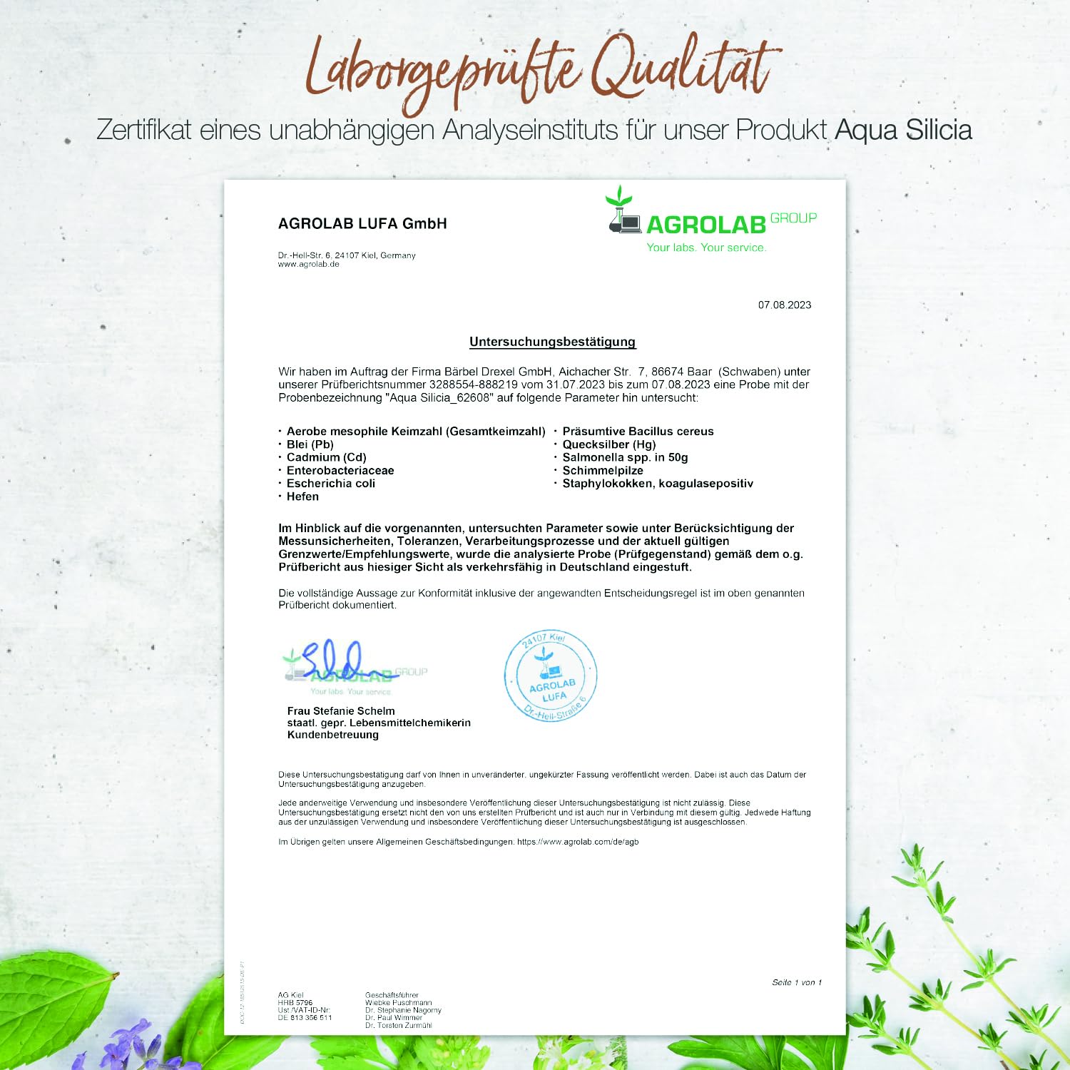 BÄRBEL DREXEL® Aqua Silicia – Kolloidales Silizium In Levitiertem belebtem Wasser (250ml) Vegane Herstellung Deutschland Bindegewebe Haut Haare Nägel Knorpel Natürliches Siliciumdioxid