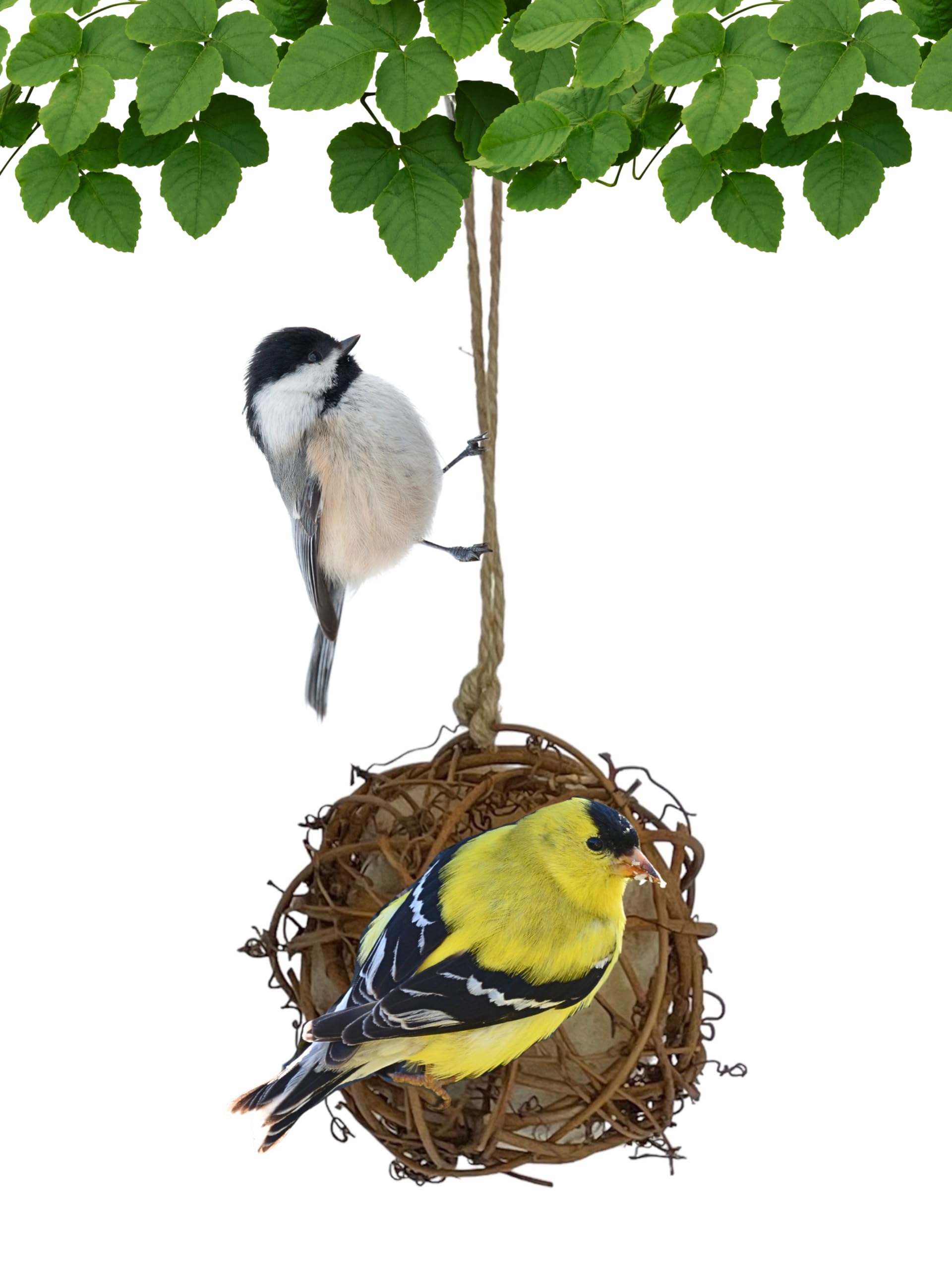 Round Vine Bird Nesting Material Ball with All Natural Alpaca Wool for Wild Bird Houses
