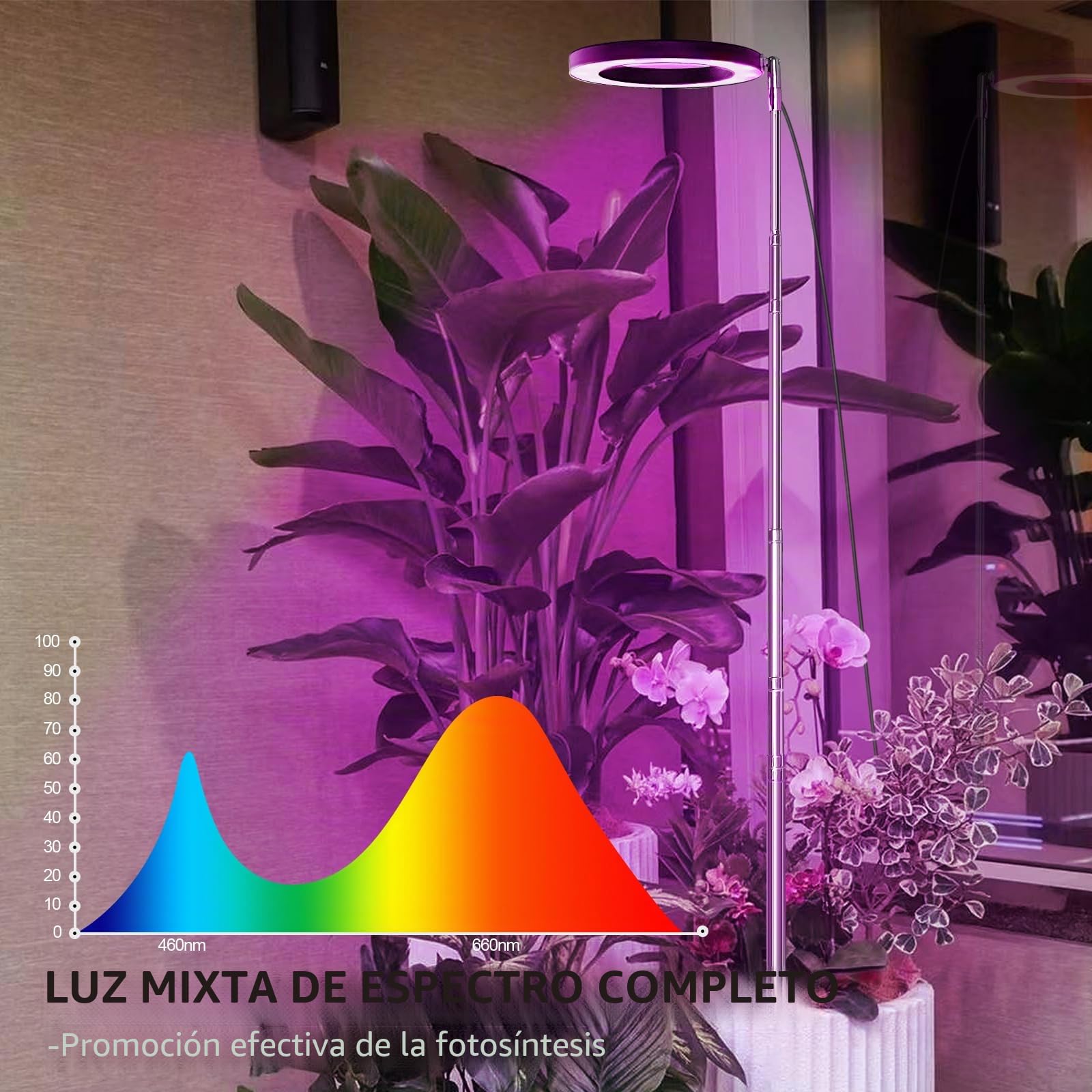 Lámpara LED de espectro completo para plantas de interior 155cm altura regulable, luz para plantas con 72 LED, 3 niveles de brillo regulable, temporizador de 3/9/12 horas para plantas de (Negro)
