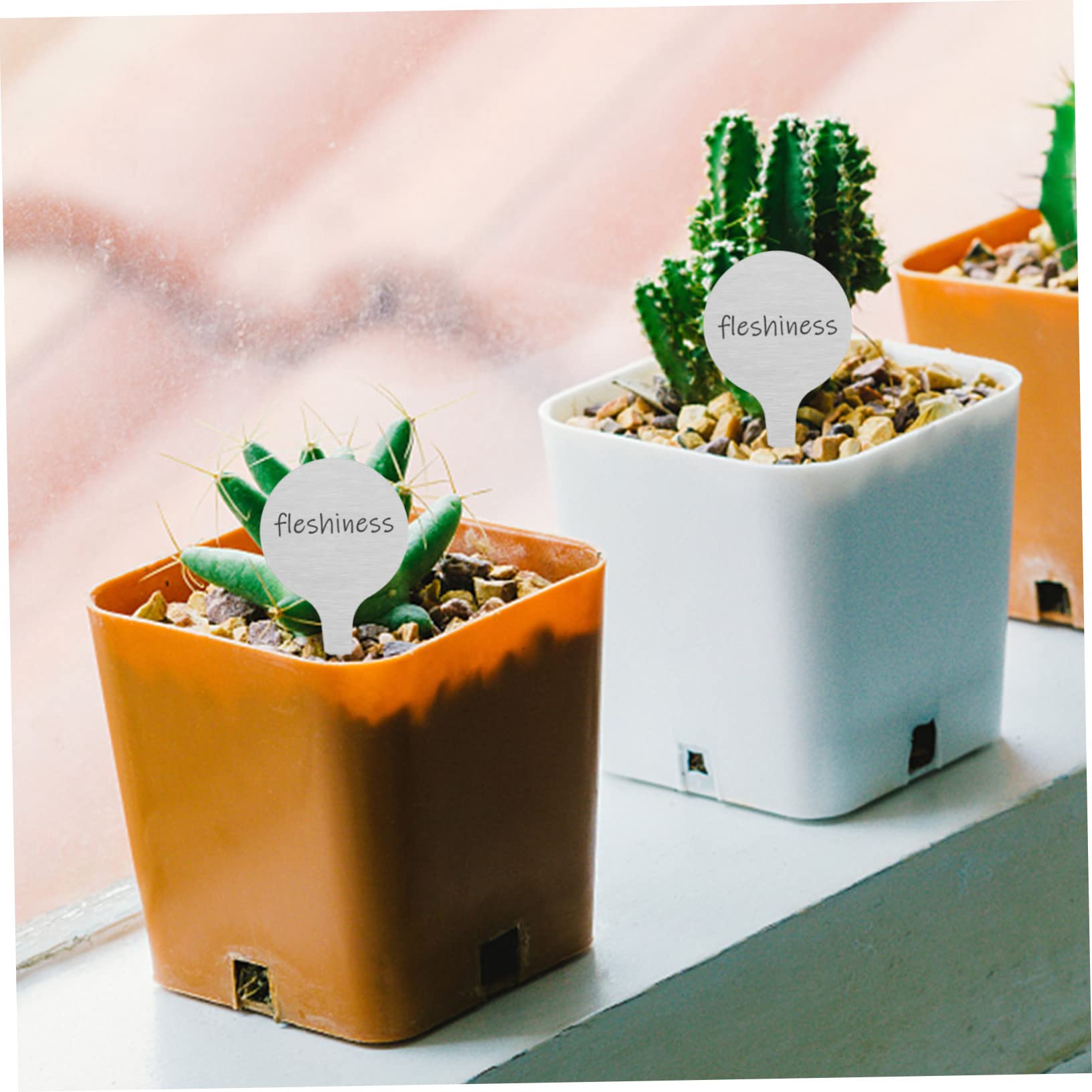ORFOFE Lot De 3 Étiquettes Rondes En Métal Pour Plantes En Acier Inoxydable Pour Le Jardinage Les Fleurs Et Les Pépinières 50 Pièces X 3