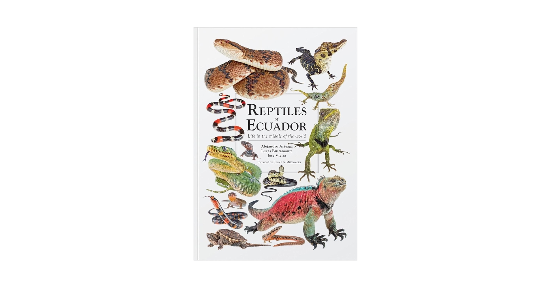 Amazon.com: Reptiles of Ecuador: Life in the Middle of the