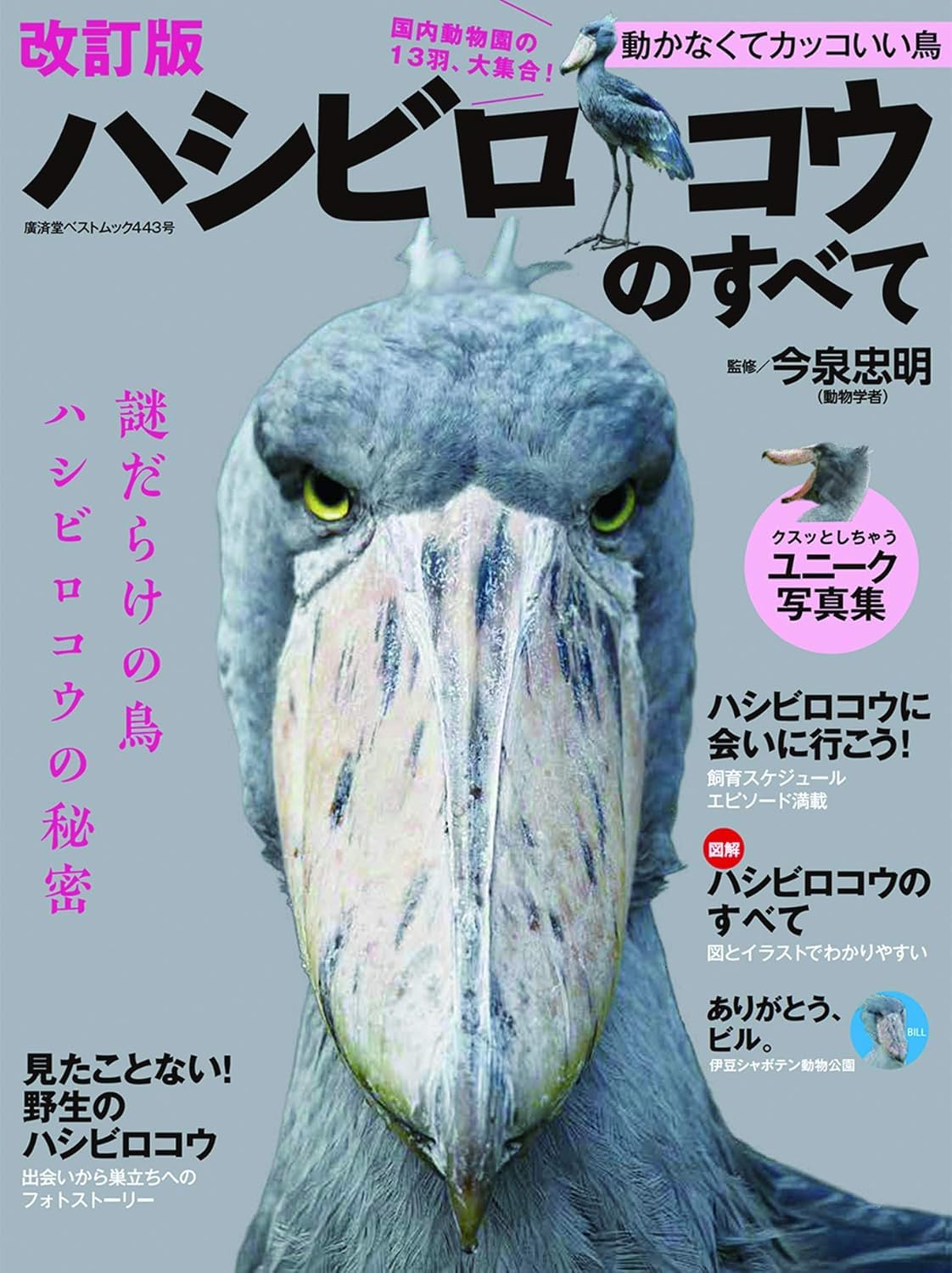 Amazon.co.jp: ハシビロコウのすべて 改訂版(廣済堂ベストムック
