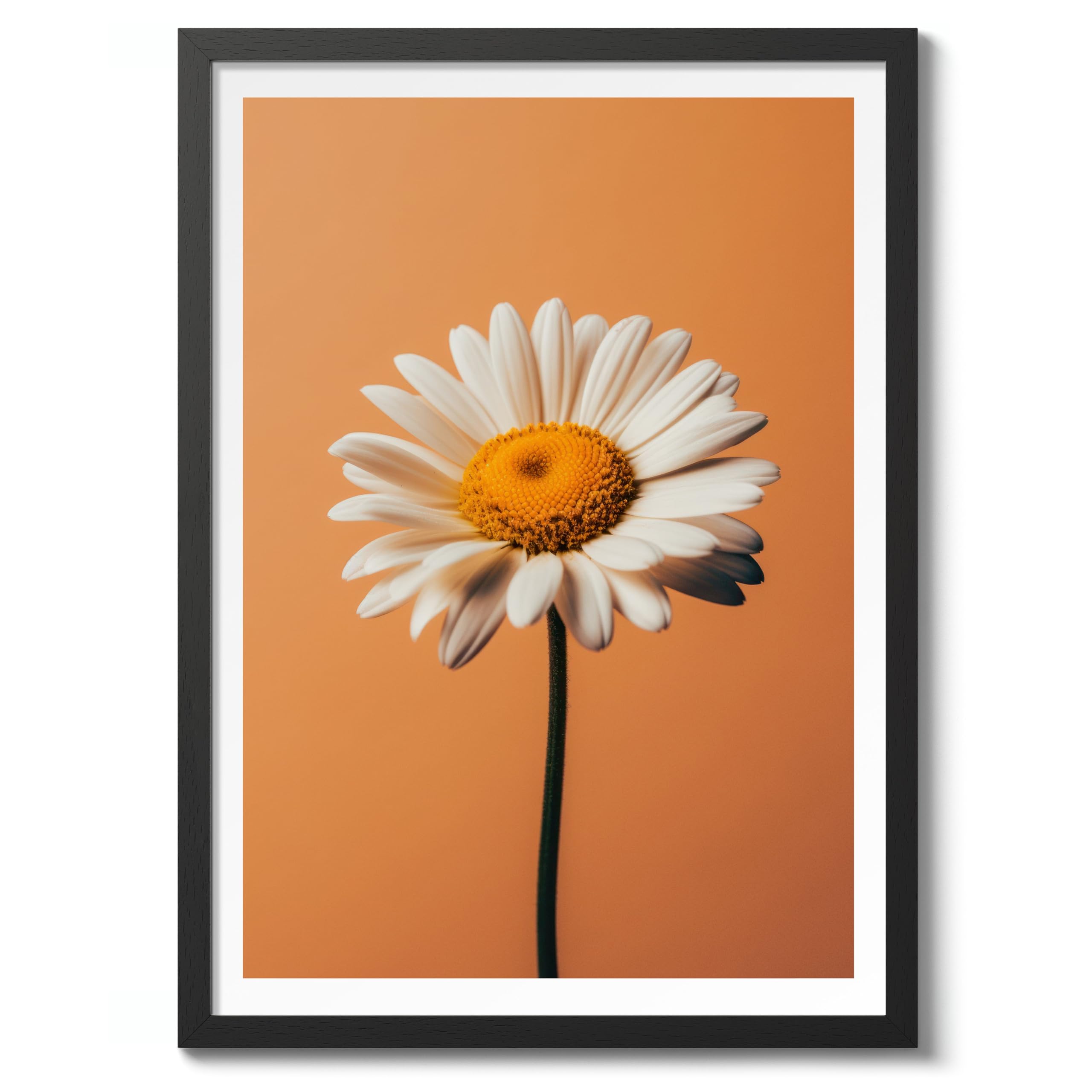 Daisy Flower Poster, Colourful Floral Home Decor Wall Art, Abstract Colourful Minimalist Bedroom Artwork Gallery, Archival Matte, A5 (Black Frame) - 21x14.8cm