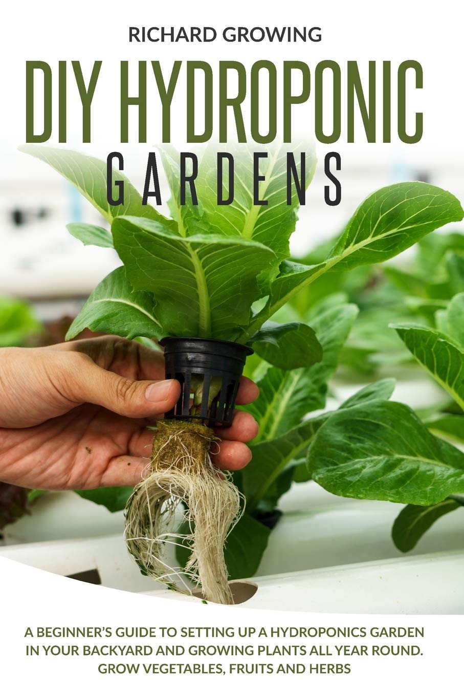 Buy Diy Hydroponic Gardens: A Beginner's Guide to Setting up a ...