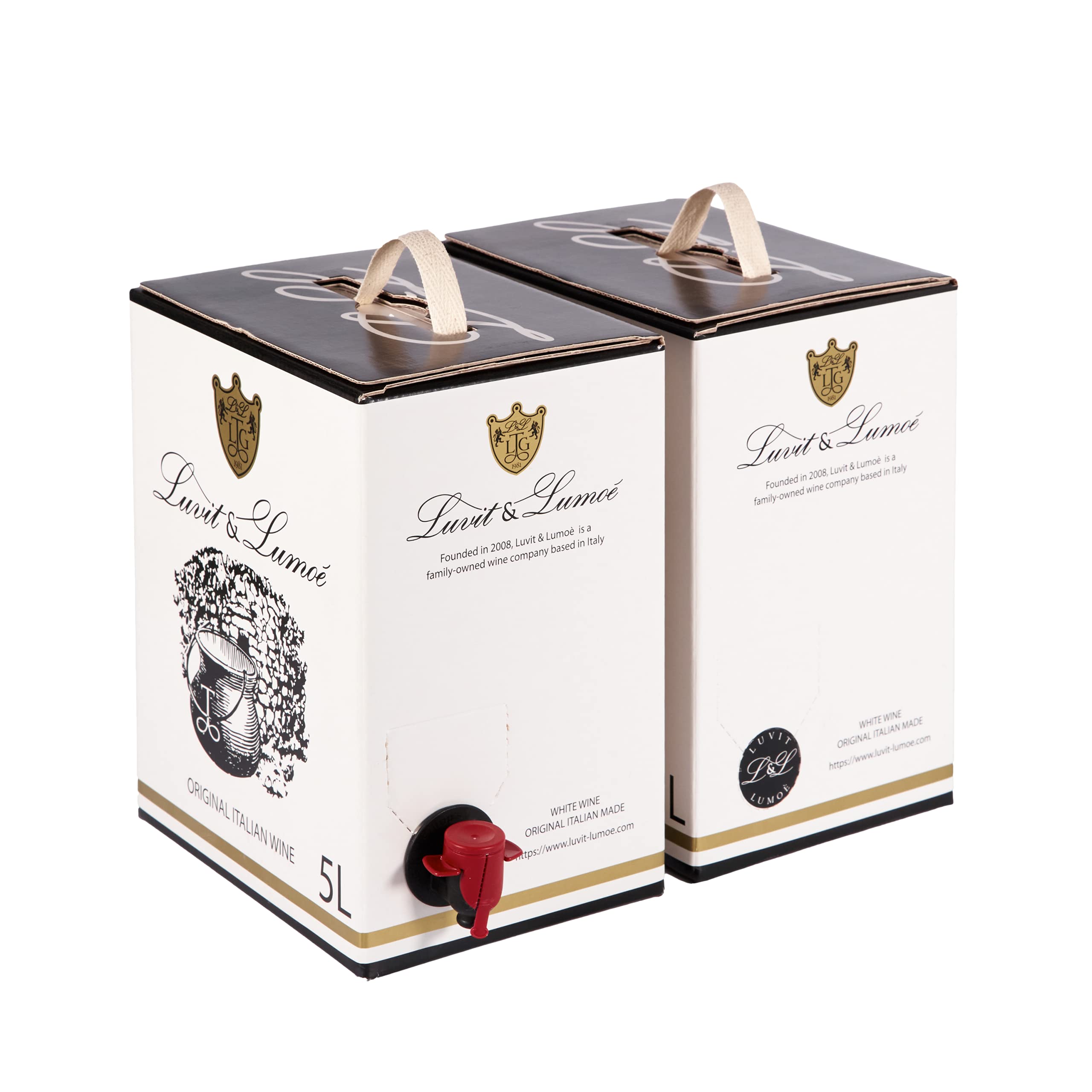 Luvit & Lumoè | Müller-Thurgau IGT TreVenezie | Italienischer Weißwein | Bag in Box | 2 X 5 Liter = 13 Flaschen