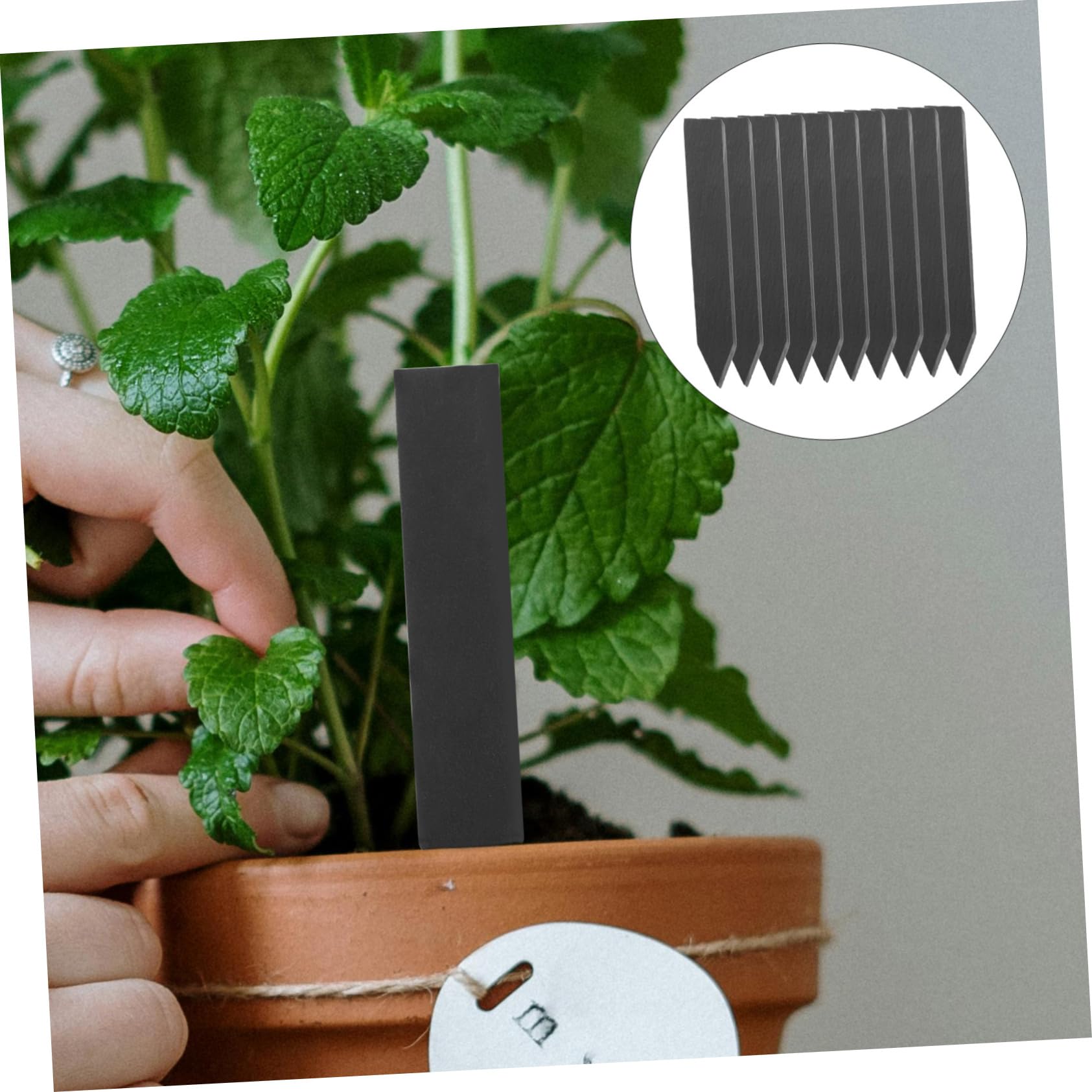 Toyvian 2 Ensembles Étiquettes De Plantes Ardoise De Marqueurs Réutilisables Pour Jardinage Pour Plantes Pot Et Plus Durable Et Pratique Pour Identifier Vos 10 Pièces * 2