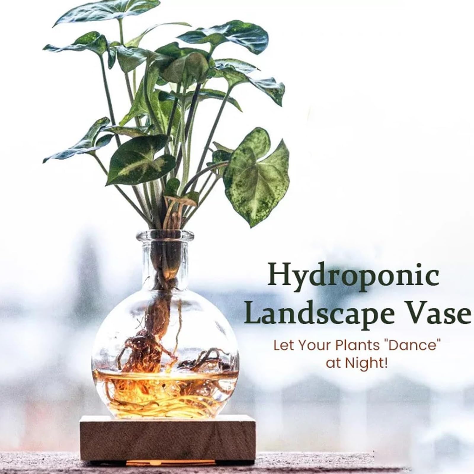Vases hydroponiques décoratifs en Verre mettant en Valeur la Croissance des Racines grâce à des illuminations et offrant des atmosphères de lumière à l ' intérieur