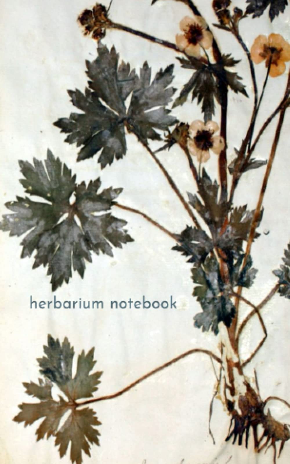 Herborium Notebook: Beautiful compact herborium. Each of the 60 pages has space for a pressing and for a short description.