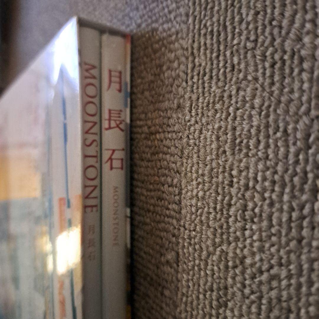 Amazon.co.jp: 火将ロシエル 写真集 『 月長石 MOON STONE