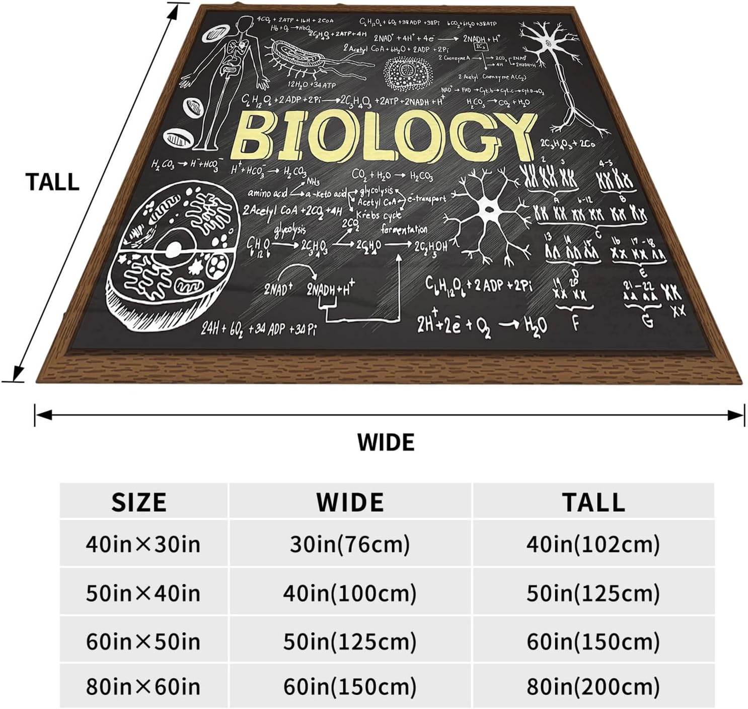 Throw Blanket 40x50 Inch,Biology Education Cozy Soft Lightweight Fuzzy Flannel Blanket Suitable for Couch Bed Sofa Living Room in All Seasons - Image 4