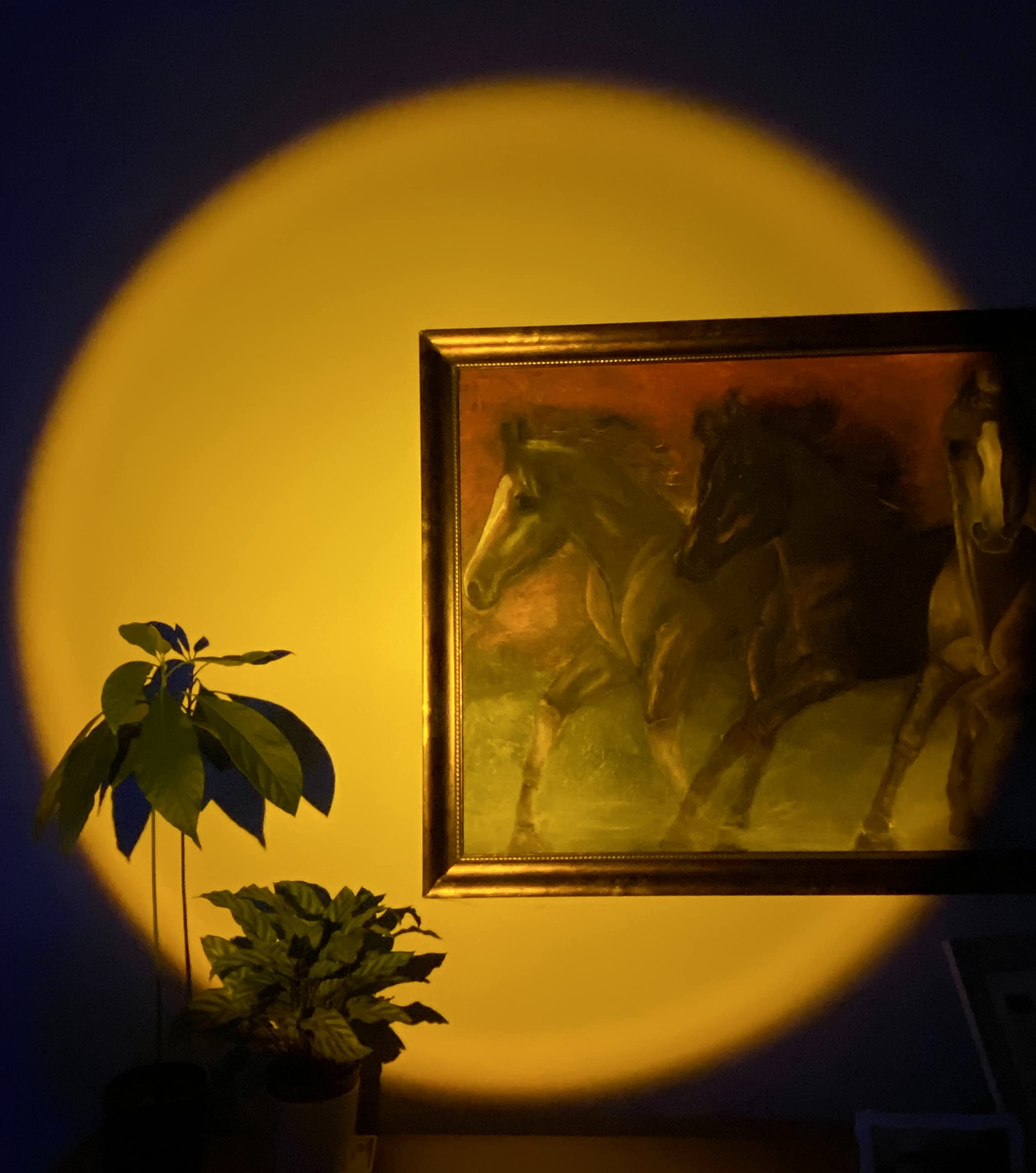 GenericSunset Lamp, Night Projector Rainbow Light, 180 Degree 4 Color Projection Led for Photography, Selfie, Home, Living Room, Bedroom, and Decor with USB Charging Lighting by Luna, Multicolor