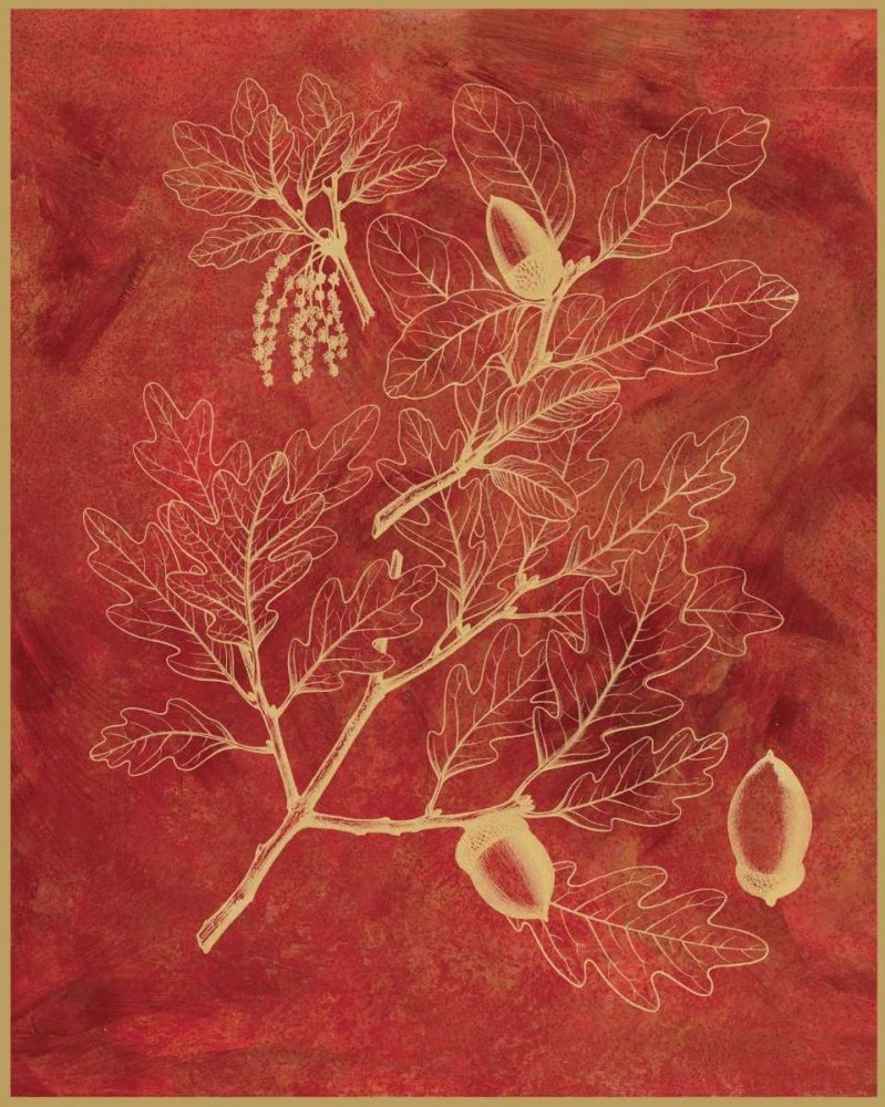 Impression artistique sur papier mat 220 g - Chêne doré II Chilton Sarah E - Image verticale florale arbres, feuilles, noix, glands rétro 26_X_20_in