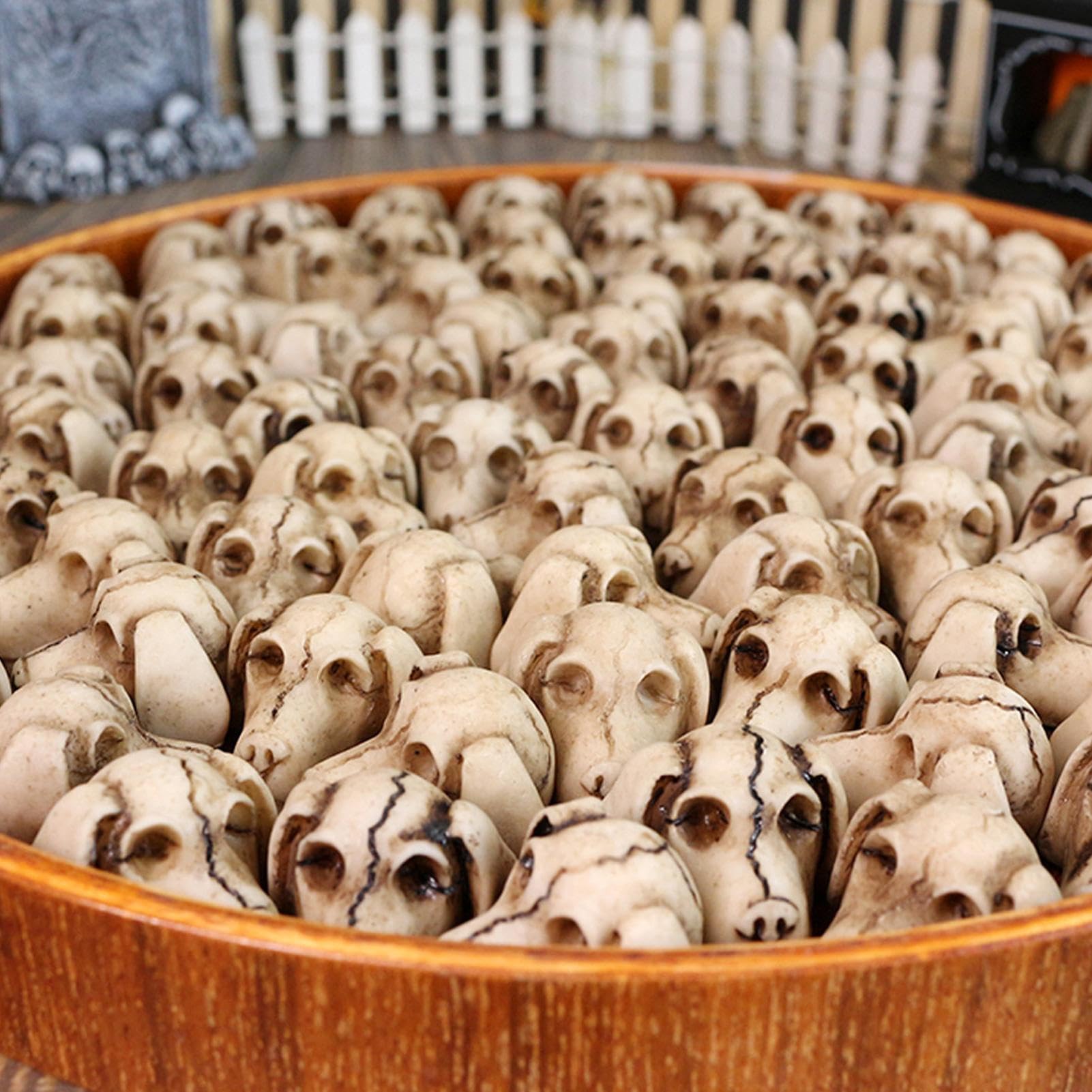 Amazon.co.jp: 動物骨格標本,20点セット 頭蓋骨フィギュア - 小さな犬 