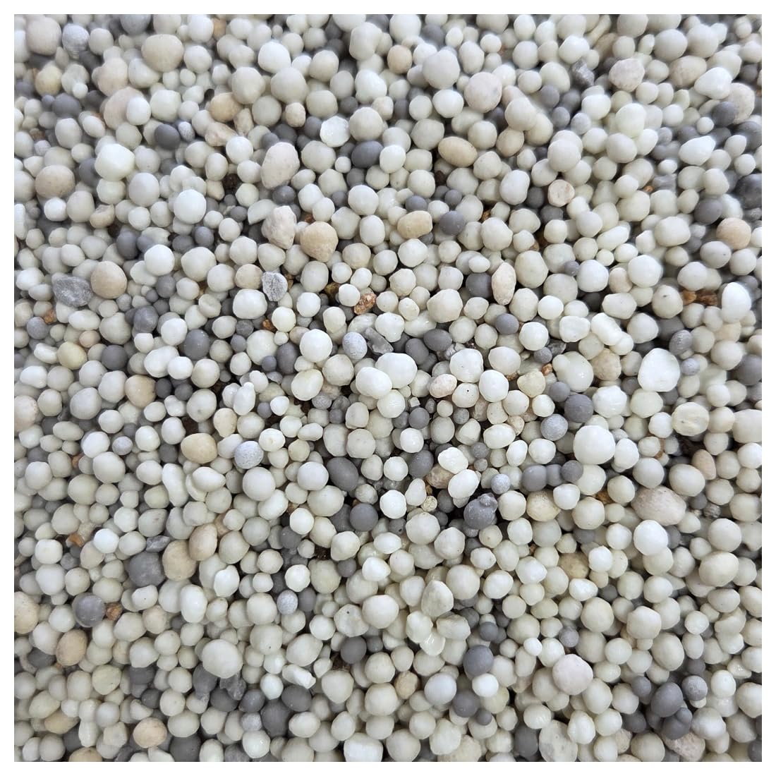 Agrarshop Profi Rasendünger Turf Herbst 15-0-22(+2)+Fe 20 kg
