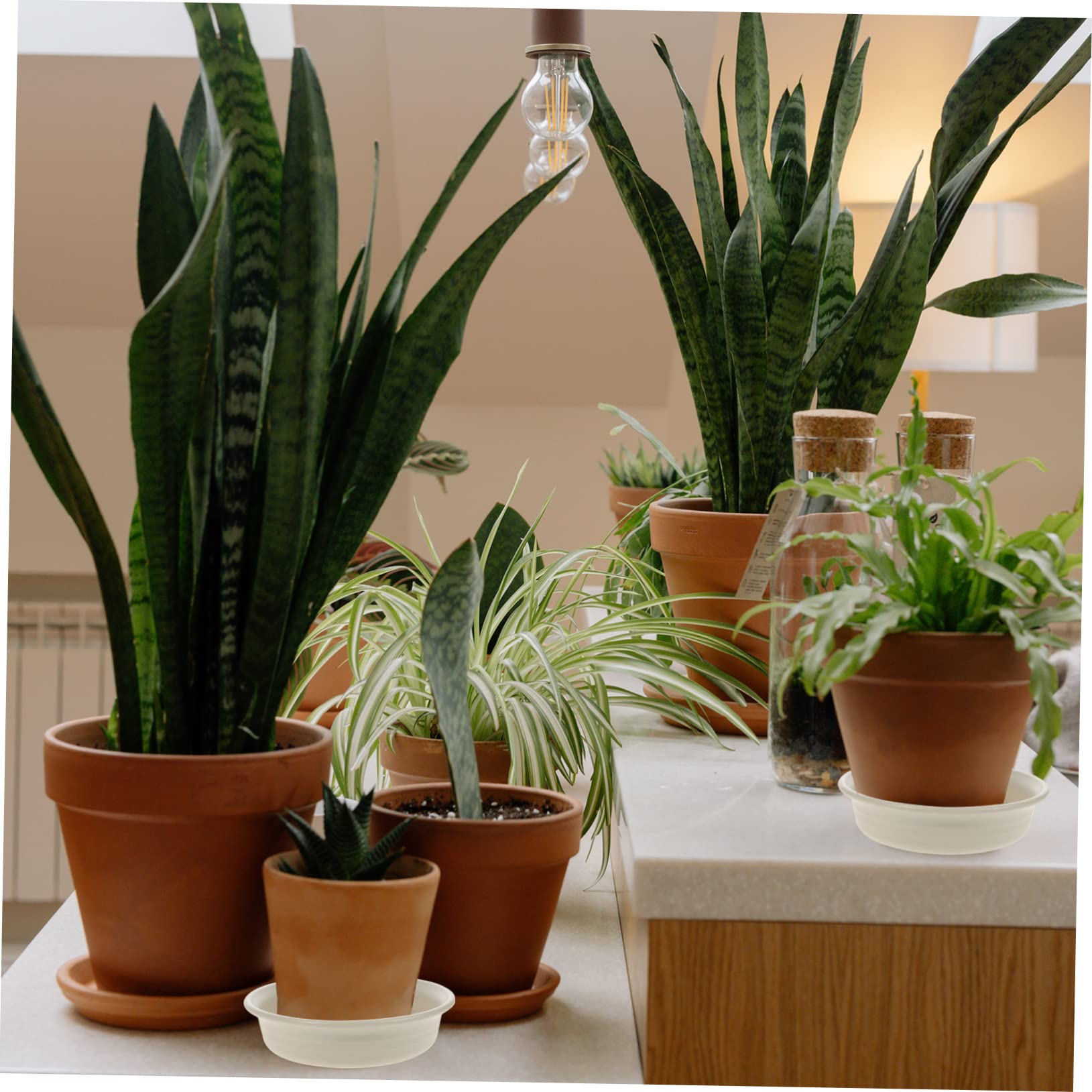 Amazon | Parliky 丸型植木鉢受け皿 屋内用プラスチック製植物皿受け 