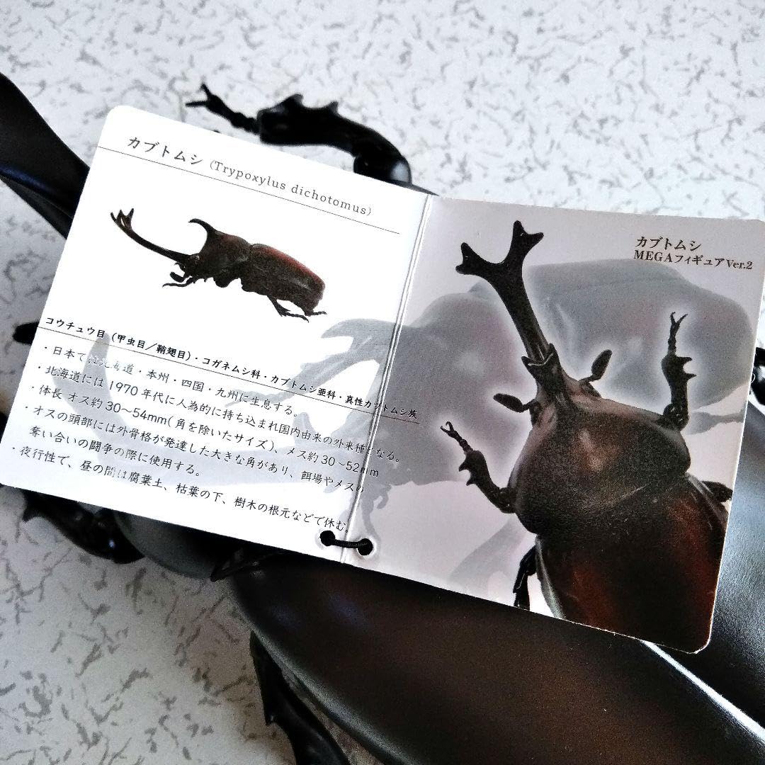 Amazon.co.jp: 昆虫 カブトムシMEGAフィギュアver.2 : Toys & Games