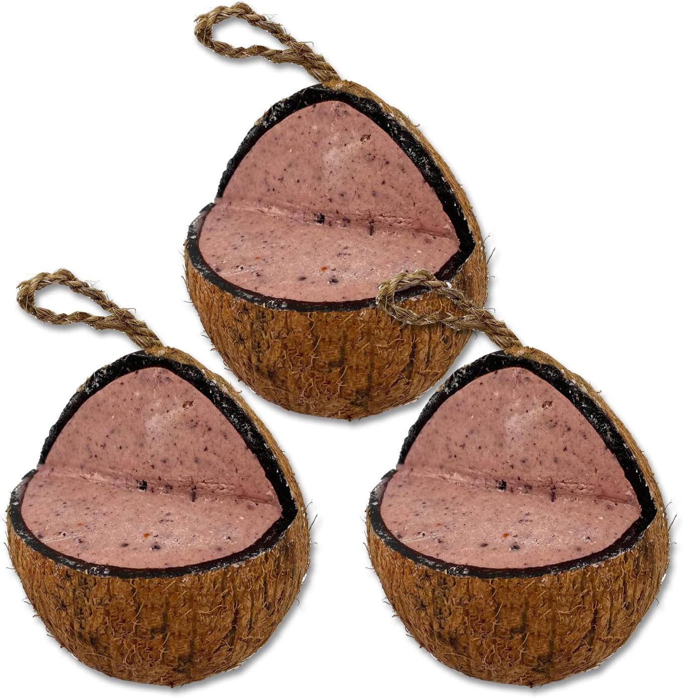 XL Fruit and Berry Suet Coconut Feeder, 3 Pack, Wild Bird Food, Butter for Birds, Hanging Feeder