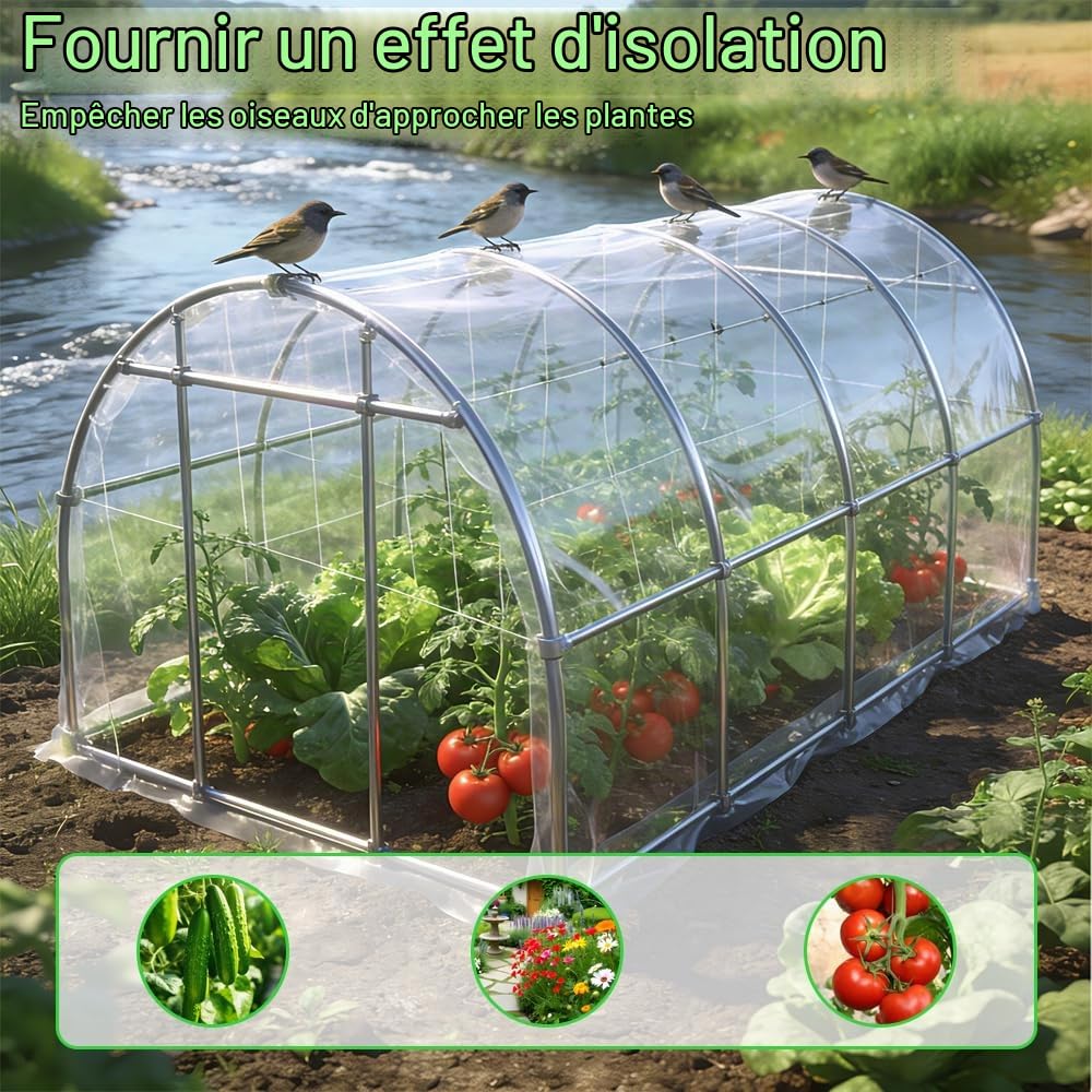 Bache pour Serre, 2 x 10 m Film de Serre Transparent, Bache Plastique pour Serre de Jardin, Extra épaisse Couverture De Polytunnel Membrane Pour Serre de Tomates, Légumes, Plantes