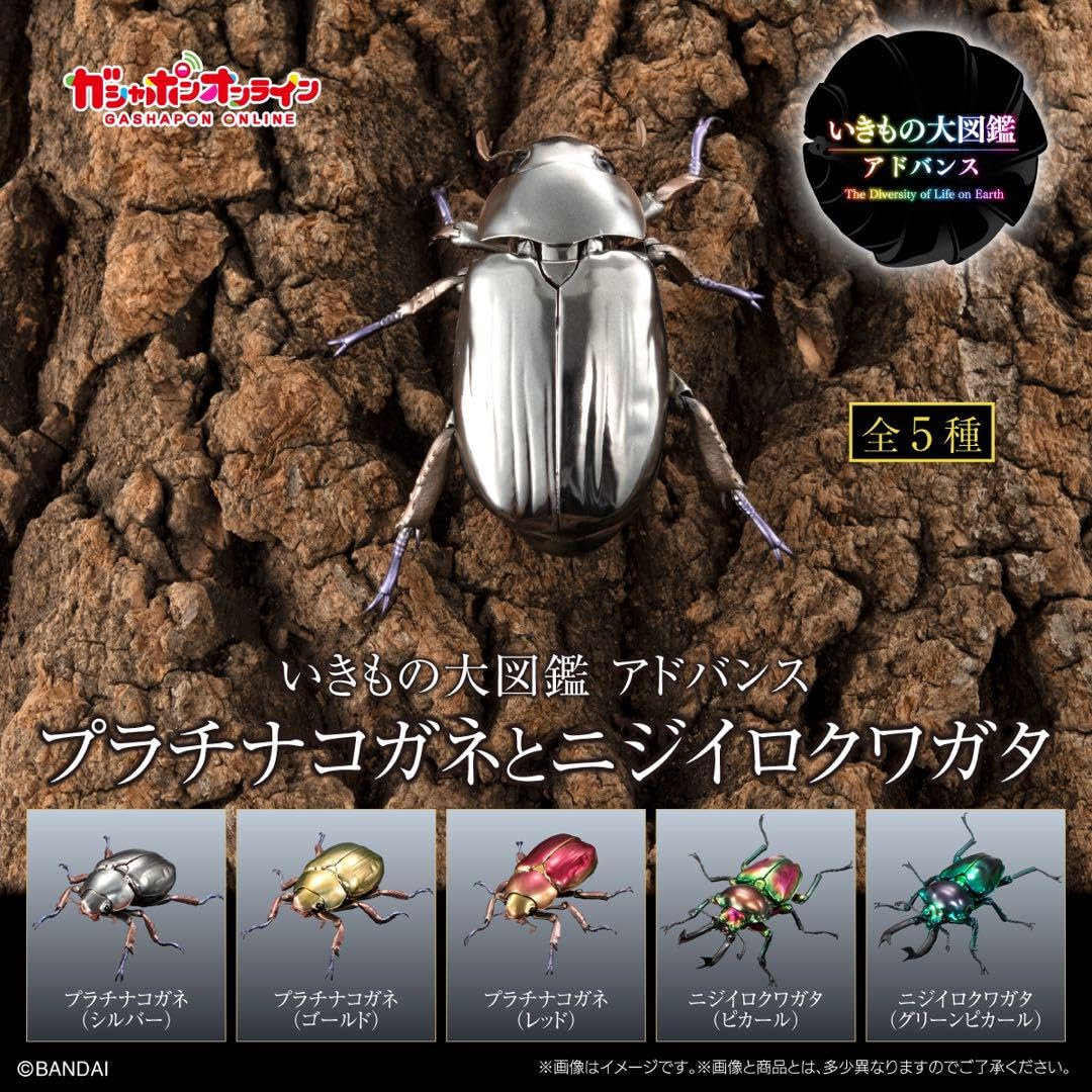 Amazon.co.jp: いきもの大図鑑 アドバンス ニジイロクワガタ（ピカール