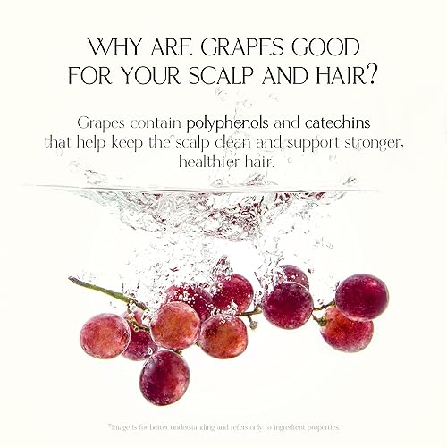 Miniatura 2 de Champú de humedad suave  Hidratante y nutritiva para cuero cabelludo normal a seco, dermatológicamente probado, libre de 12 ingredientes agresivos,