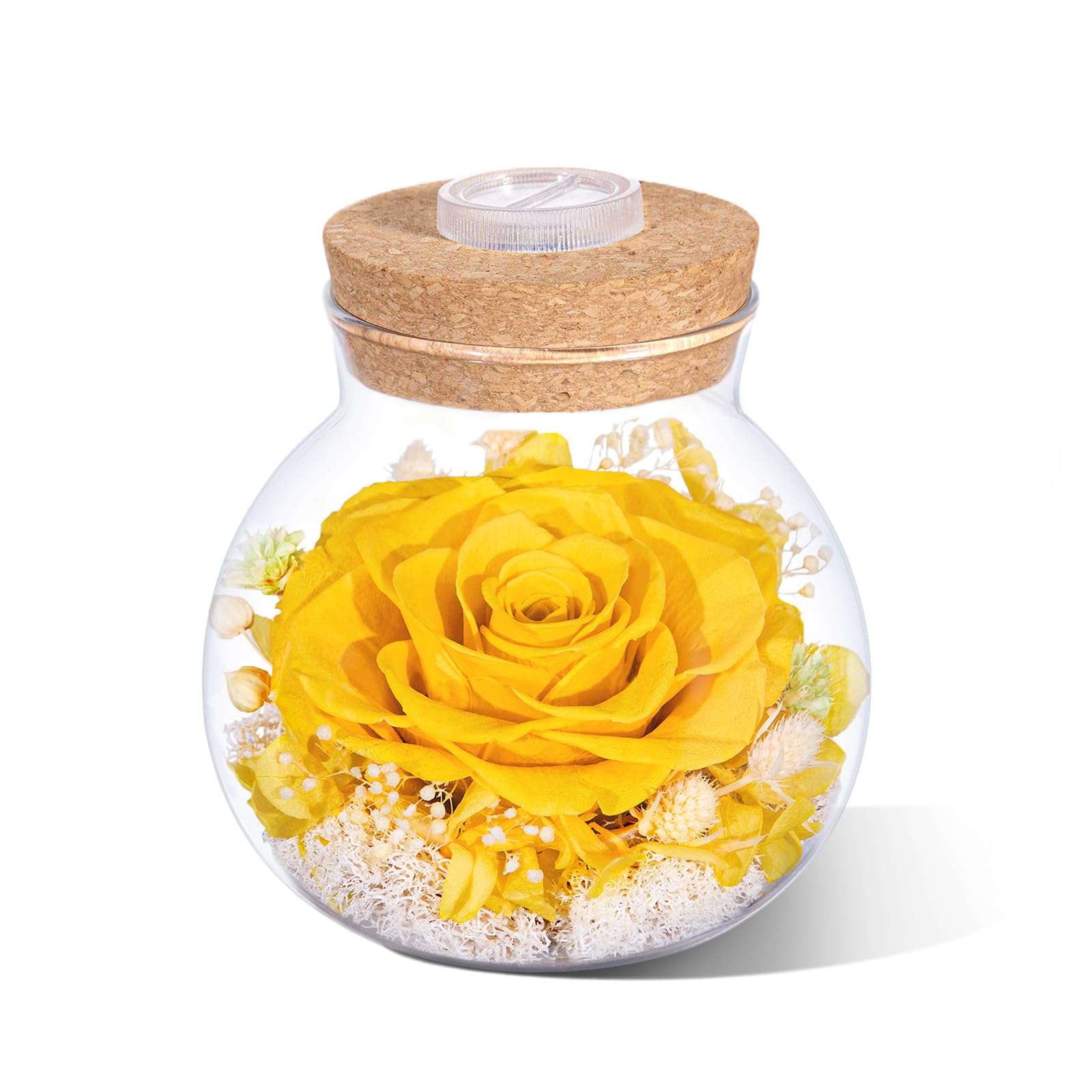 Valentine's Day Gifts for Women Mom Birthday Gift Preserved Rose Eternal Forever Flower in Glass Wishing Bottle with Colorful LED Light Flowers for