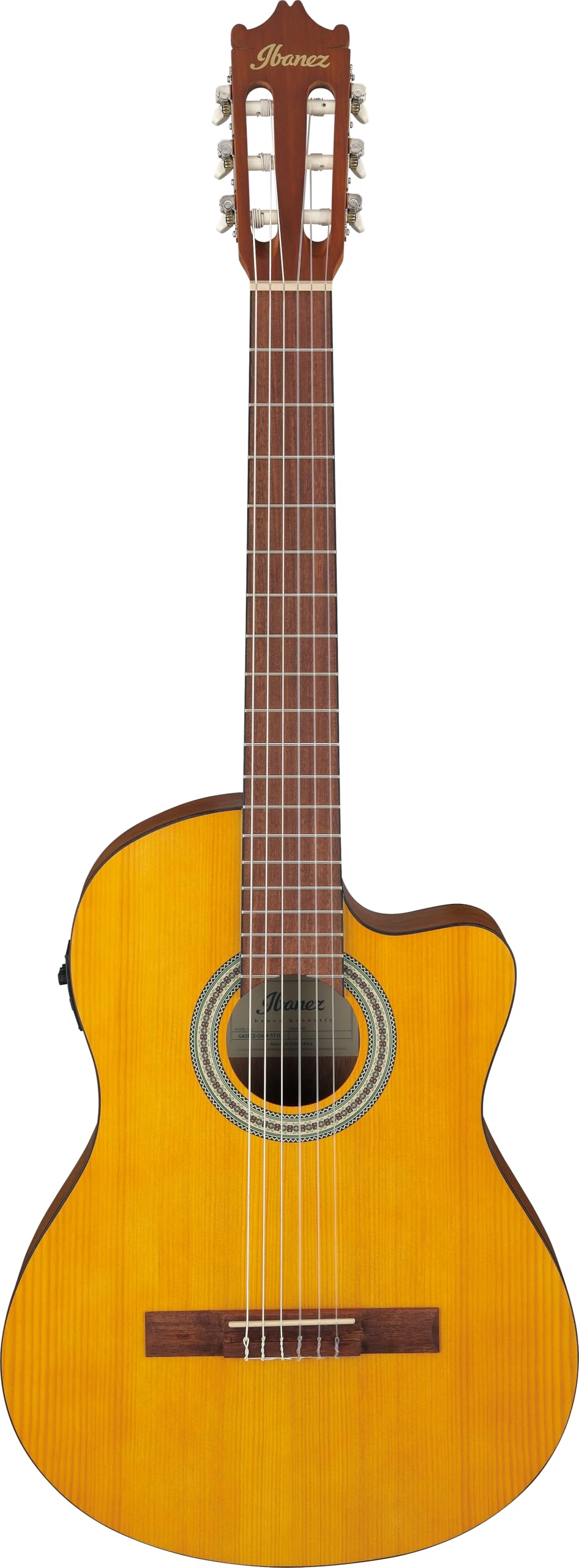 Ibanez Acoustic Gitarre / GA3ECEOAM Standard