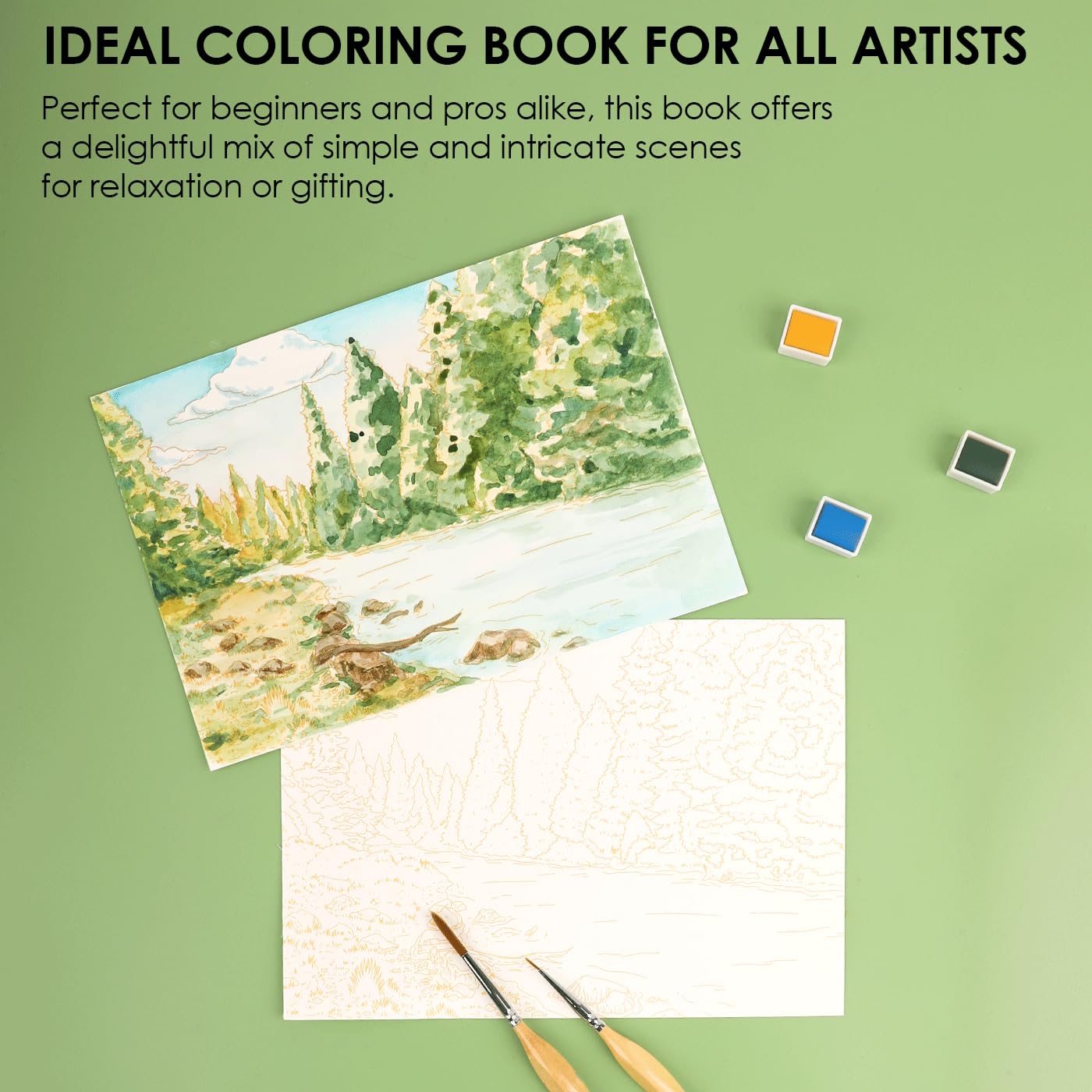 Grabie Watercolor Coloring Book - Forest Designs -7 Grabie Watercolor Coloring Book - Forest Designs -7